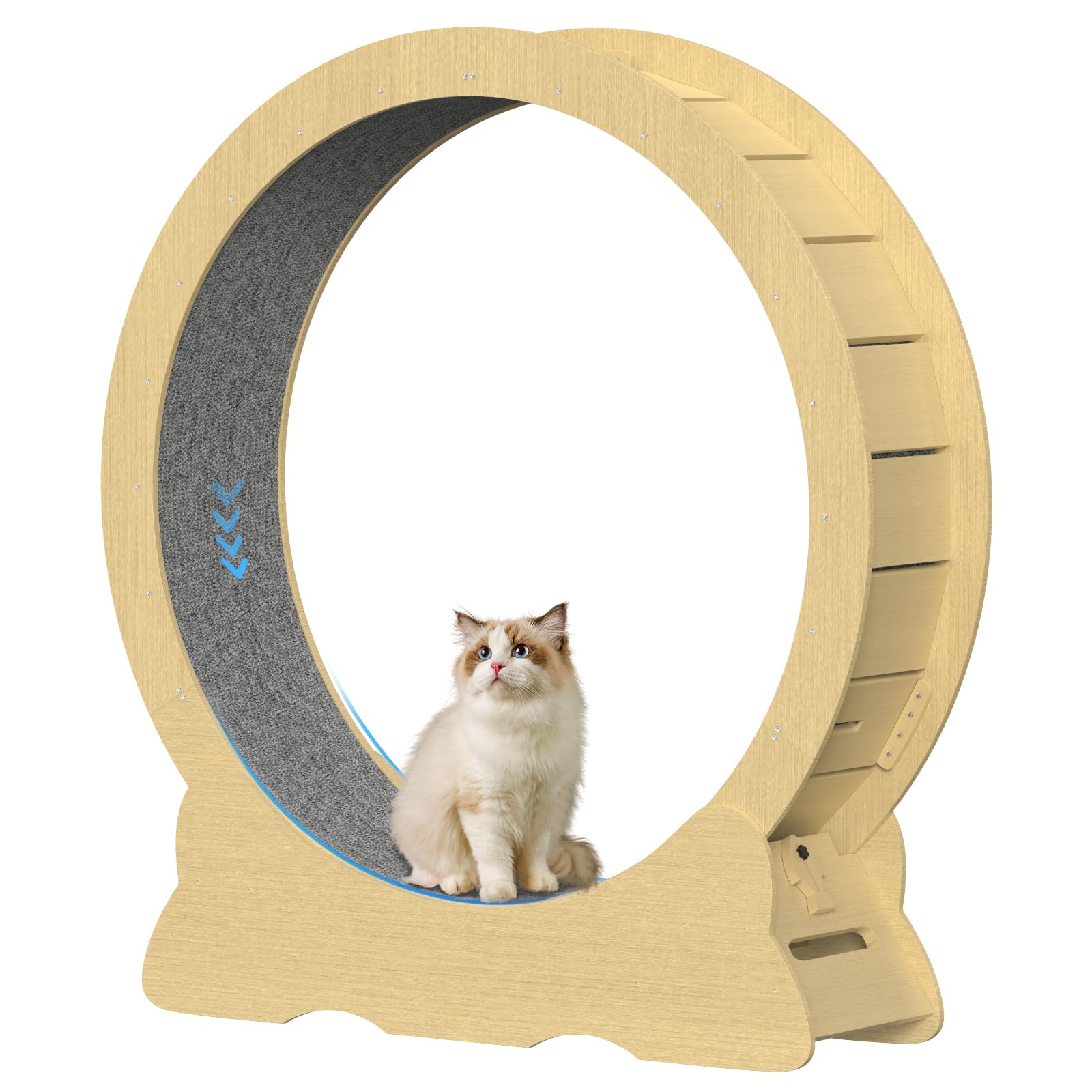 Tapis Roulant per Gatti, 132cm Ruota da Corsa per Gatti in Legno, Ruota per Esercizi per gati, Super Silenzioso, Tapis Giocattolo per gati in Casa (Naturale, XXL)