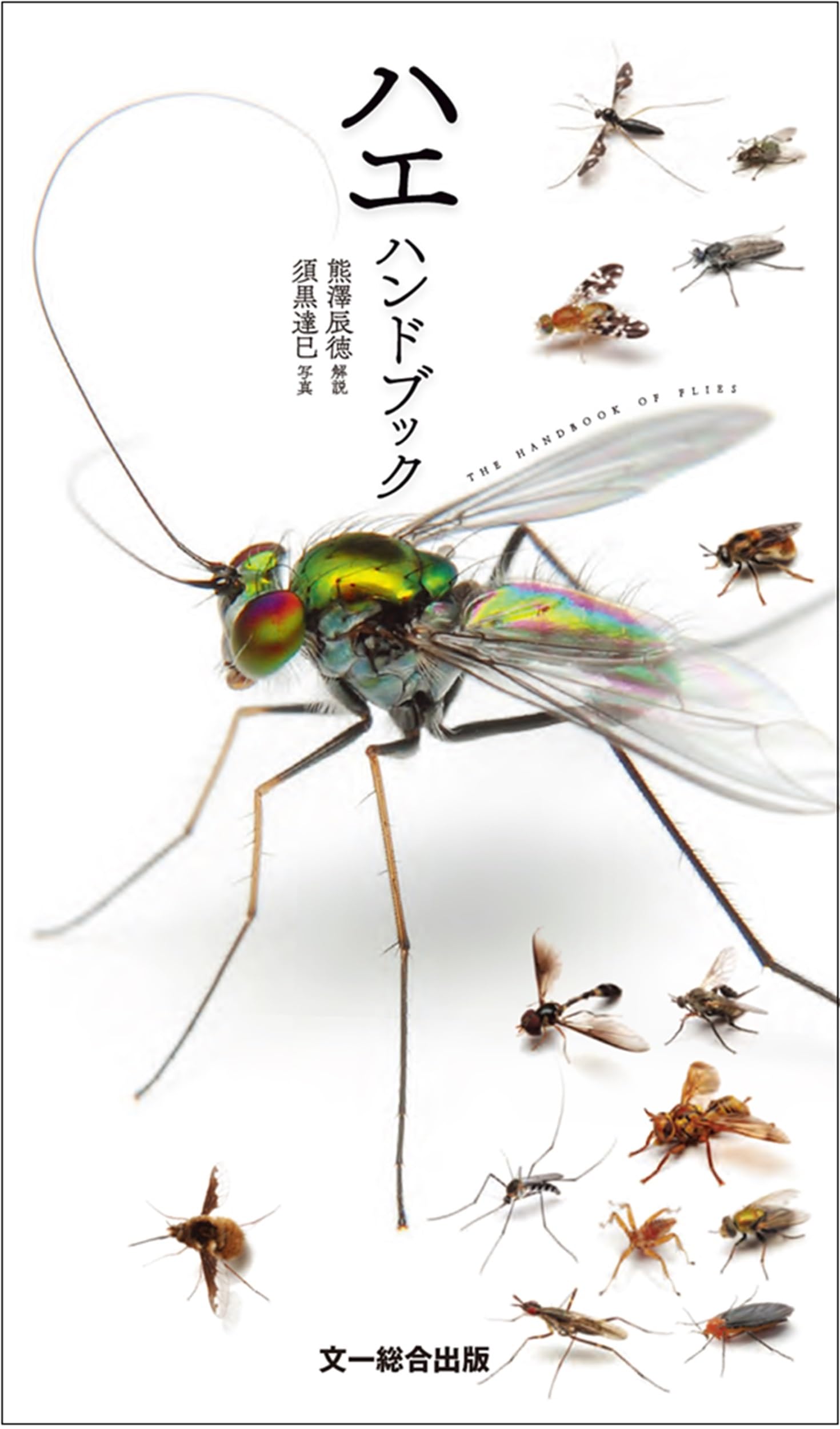 ハエハンドブック | 熊澤辰徳, 須黒達巳 |本 | 通販 | Amazon