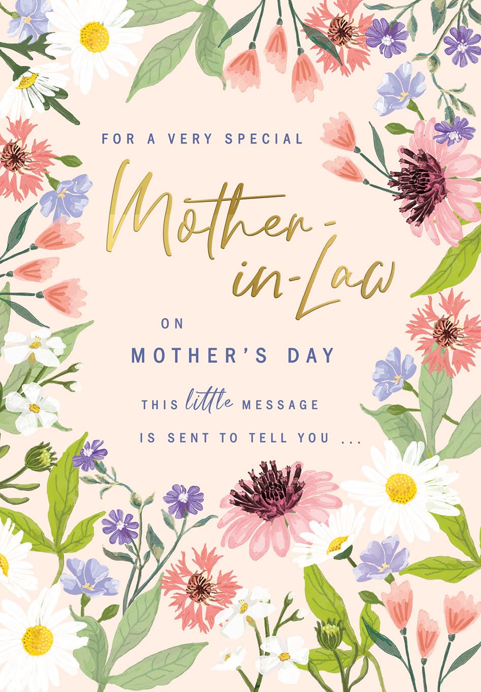 Mother's Day Card, For a Special Mother-in-Law - 9 x 6 inches - Avant Garde Studios