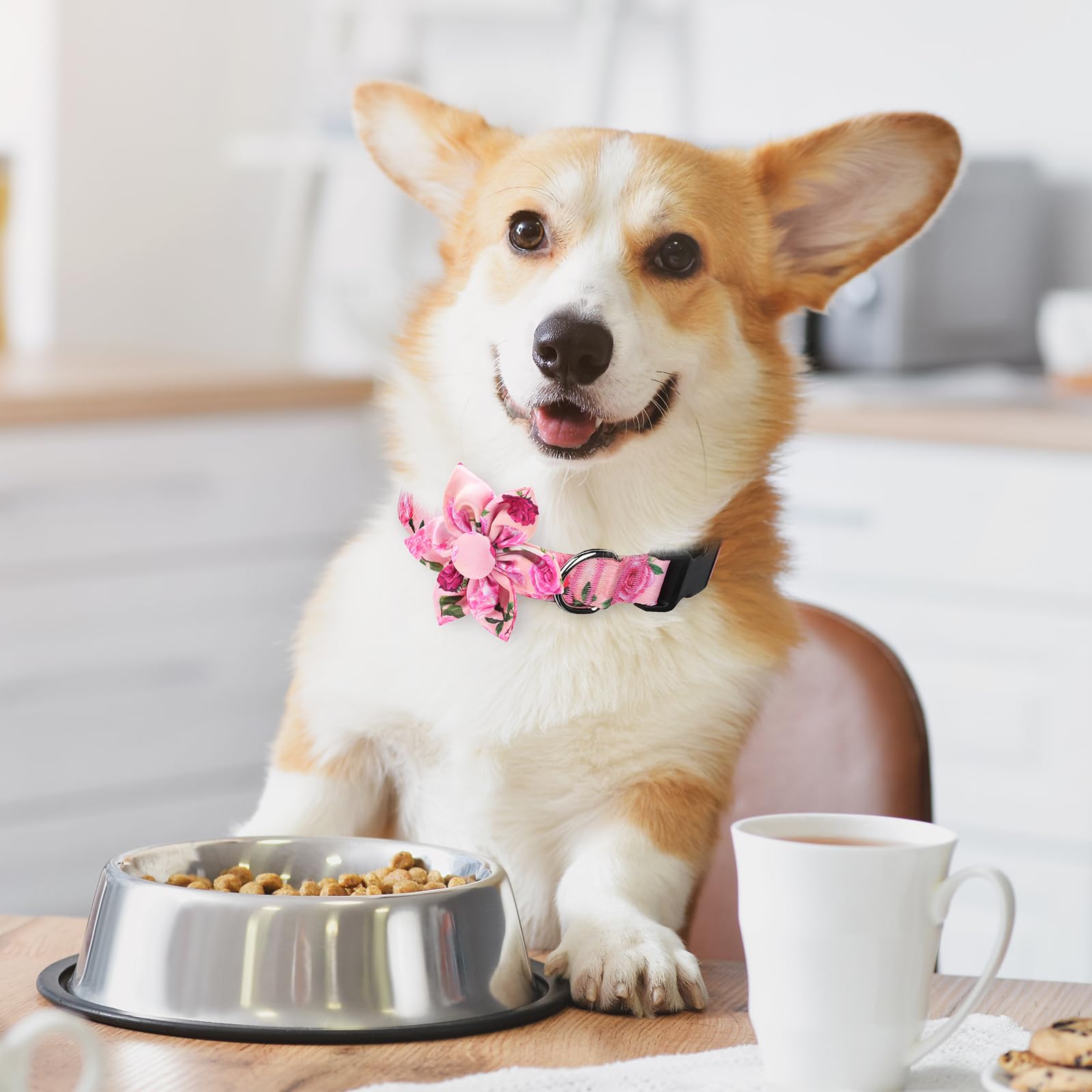 BiPawTi Pink Dog Collar with Bloom Decoration - Image 2