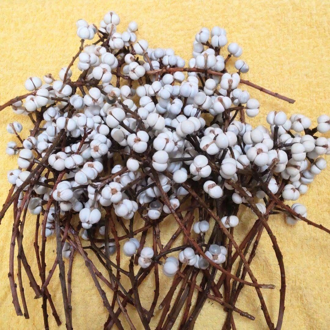 Amazon｜3937.ナンキンハゼ。25本。ナンキンハゼの実。ドライフラワー