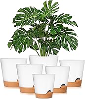 Vista 51 de GARDIFE 10/9/8 inch Plant pots, planters for Indoor Plants, self Watering Plant Pot, Flower pots, Black