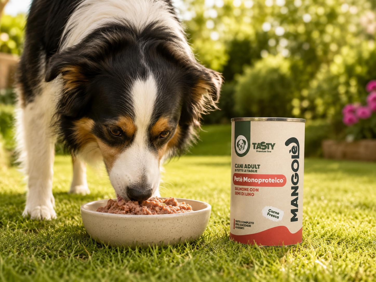 Dog Patè Monoproteico Salmone con Semi di Lino 400 g Alimento Umido Completo per Cani Adulti con FOS e Minerali (36 Pezzi)