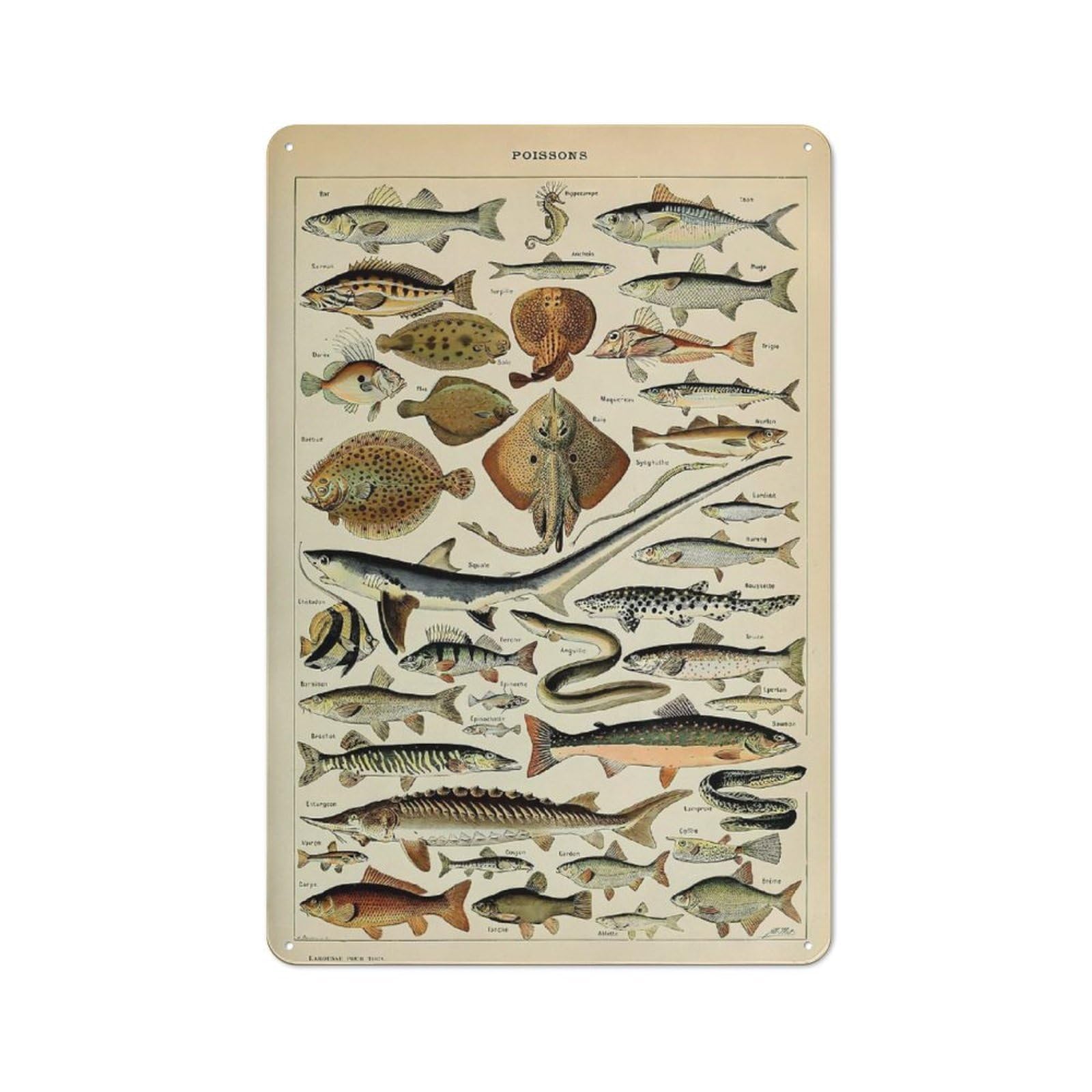 Junmoney Style-12 Creative Adolphe Millot Fish Metal Desk Wall Sign 30X20cm, Study Room Decor For Home Office, Reading Corner Or Bedroom