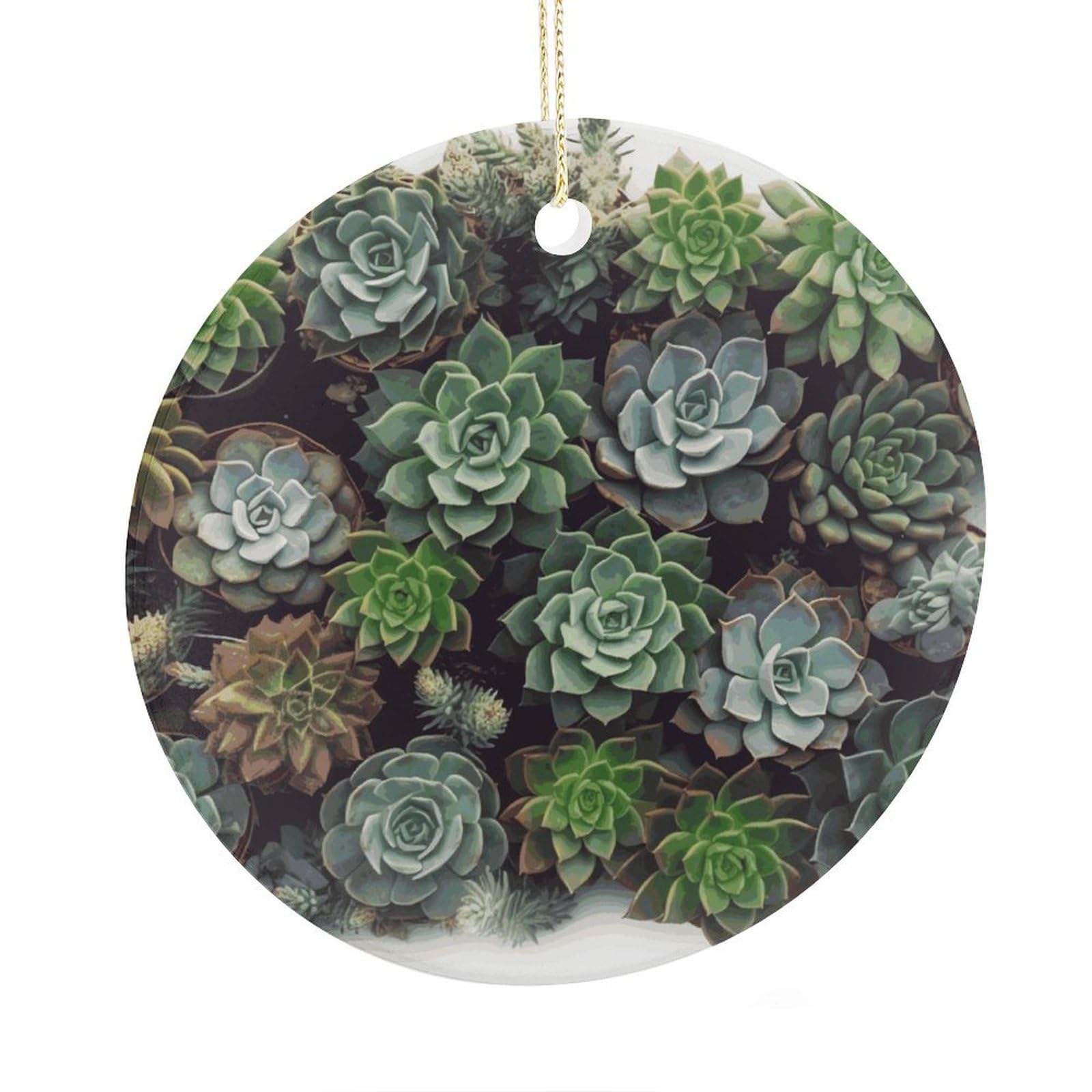 Adfgyerh Style Succulent Plants Ceramic Circular Pendant,2.9 Inch，Hanging Ornament，Gift Exchange Idea Round Ceramic Ornament,For Mom And Daughter，For Home Indoor Outdoor Decor.