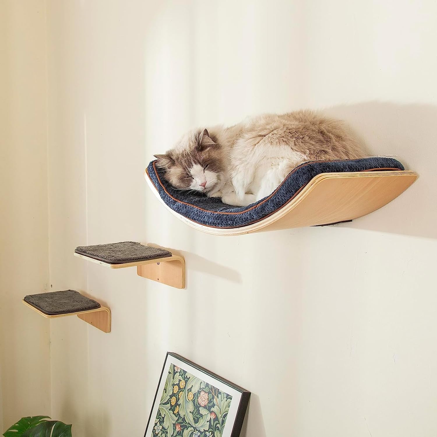 LIORCE Cat Wall Shelf with Two Steps - Curved Cat Shelves and Perches for Wall (Big Size) - Wall Mounted Cat Furniture for...