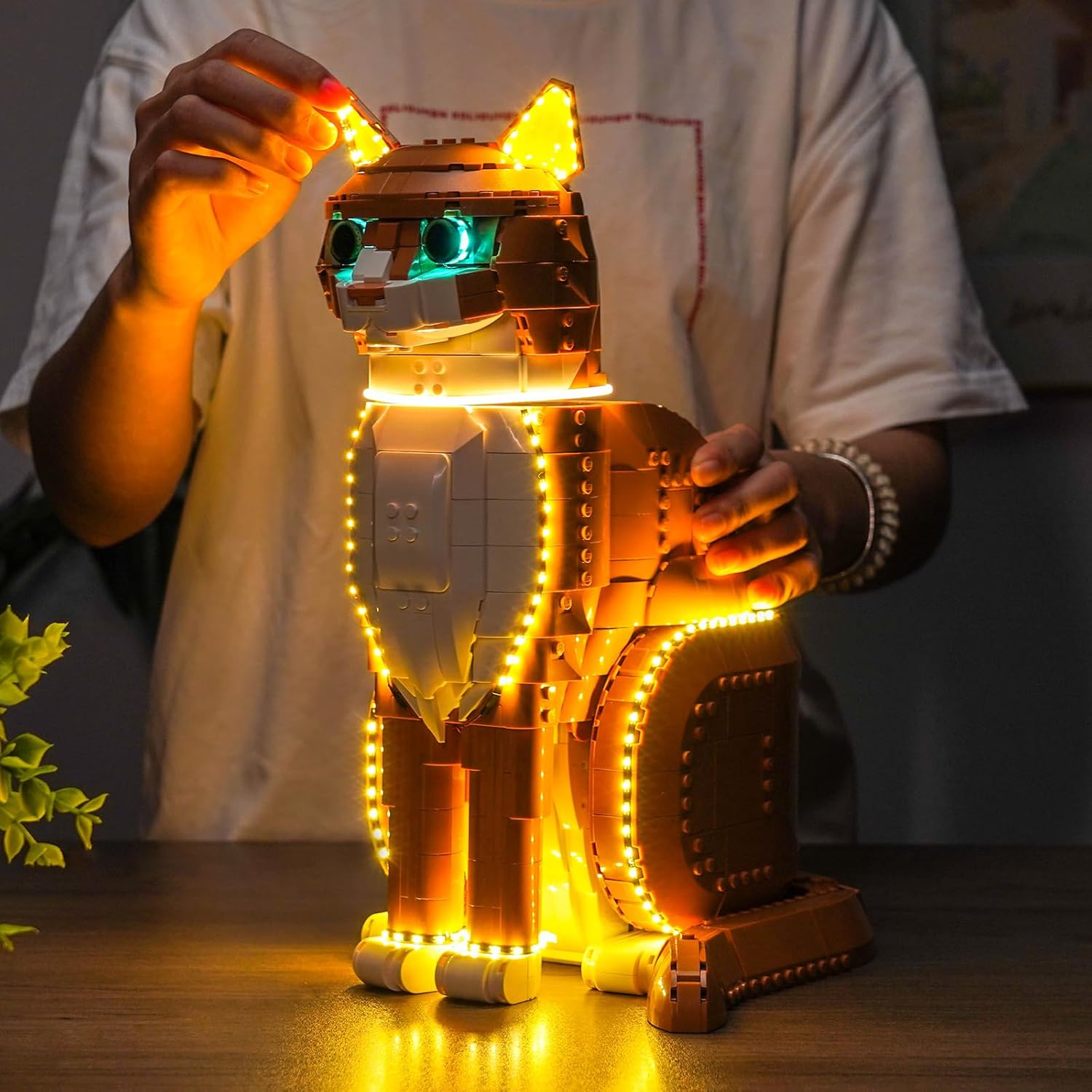 Upgraded Led Light Kit Compatible with LEGO Ideas Orange Cat Set, Lights Decoration Compatible with LEGO 21376 (Model Not Included)