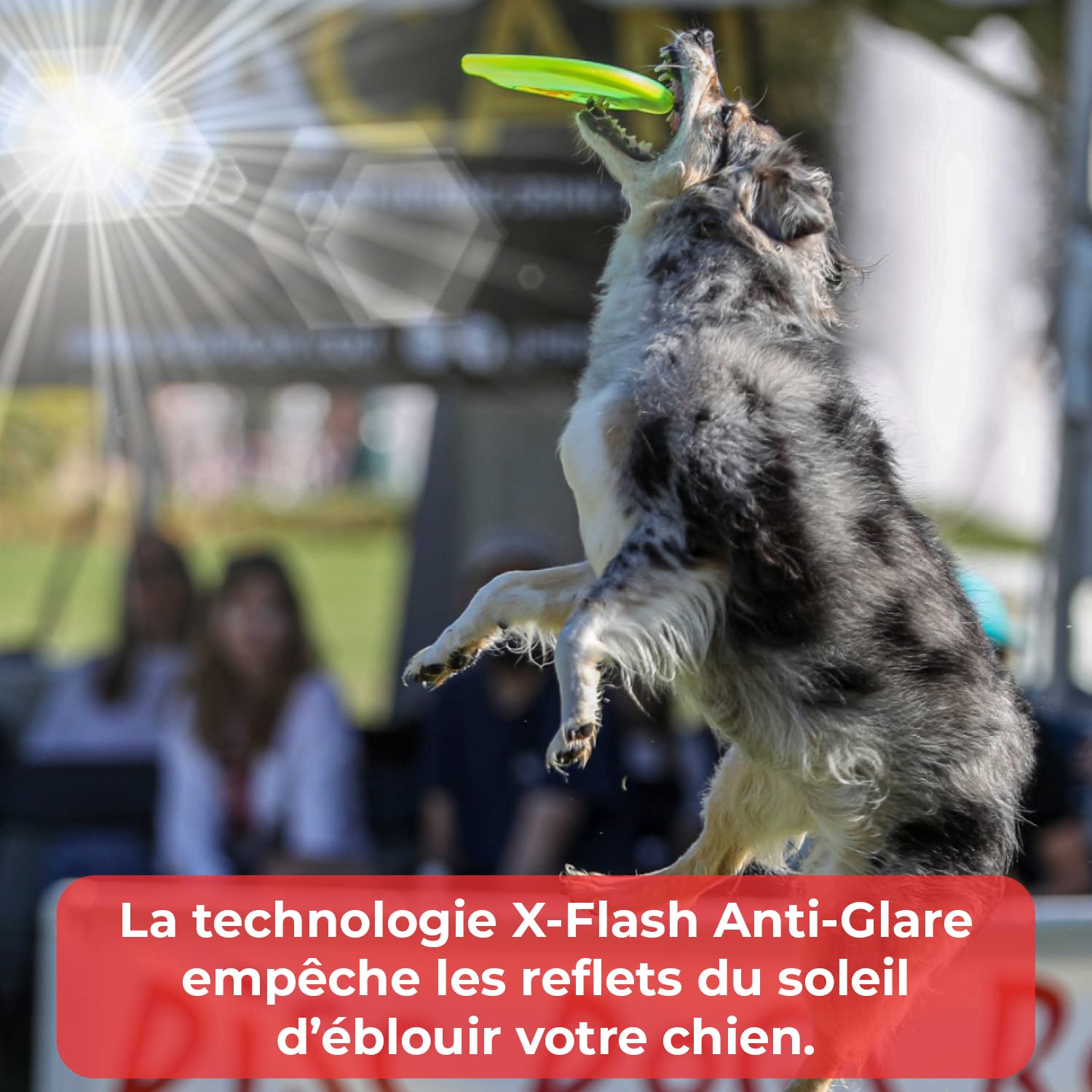 Hyperflite K10 Jawz Frisbee Chien à mâcher pour Discdogging - Jaune