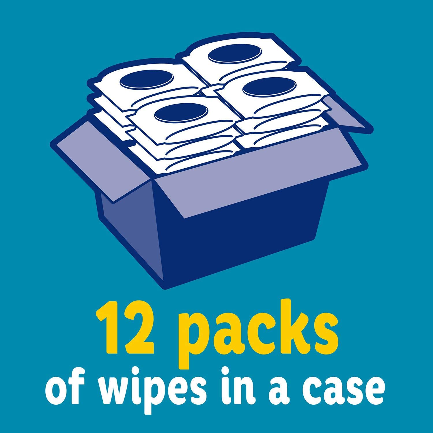 Members Mark Premium Scented Baby Wipes 1152 Ct Desertcart Cyprus