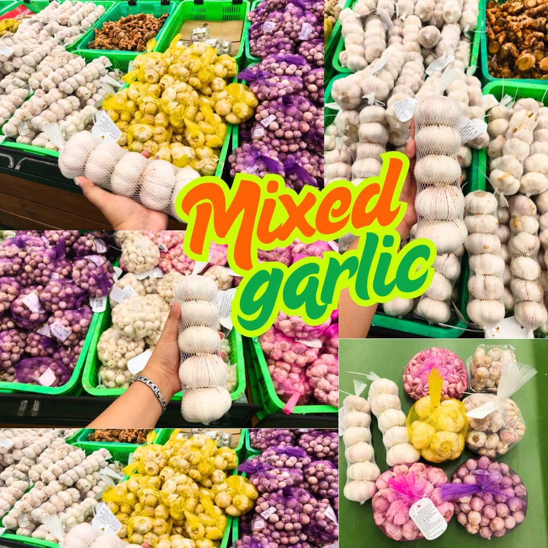 4 Mix Garlic Bulbs for Planting, Mixed 4 Types, Each Type One Bulb, Approx. 1/2 LB Hard Neck Garlic Bulbs for Planting
