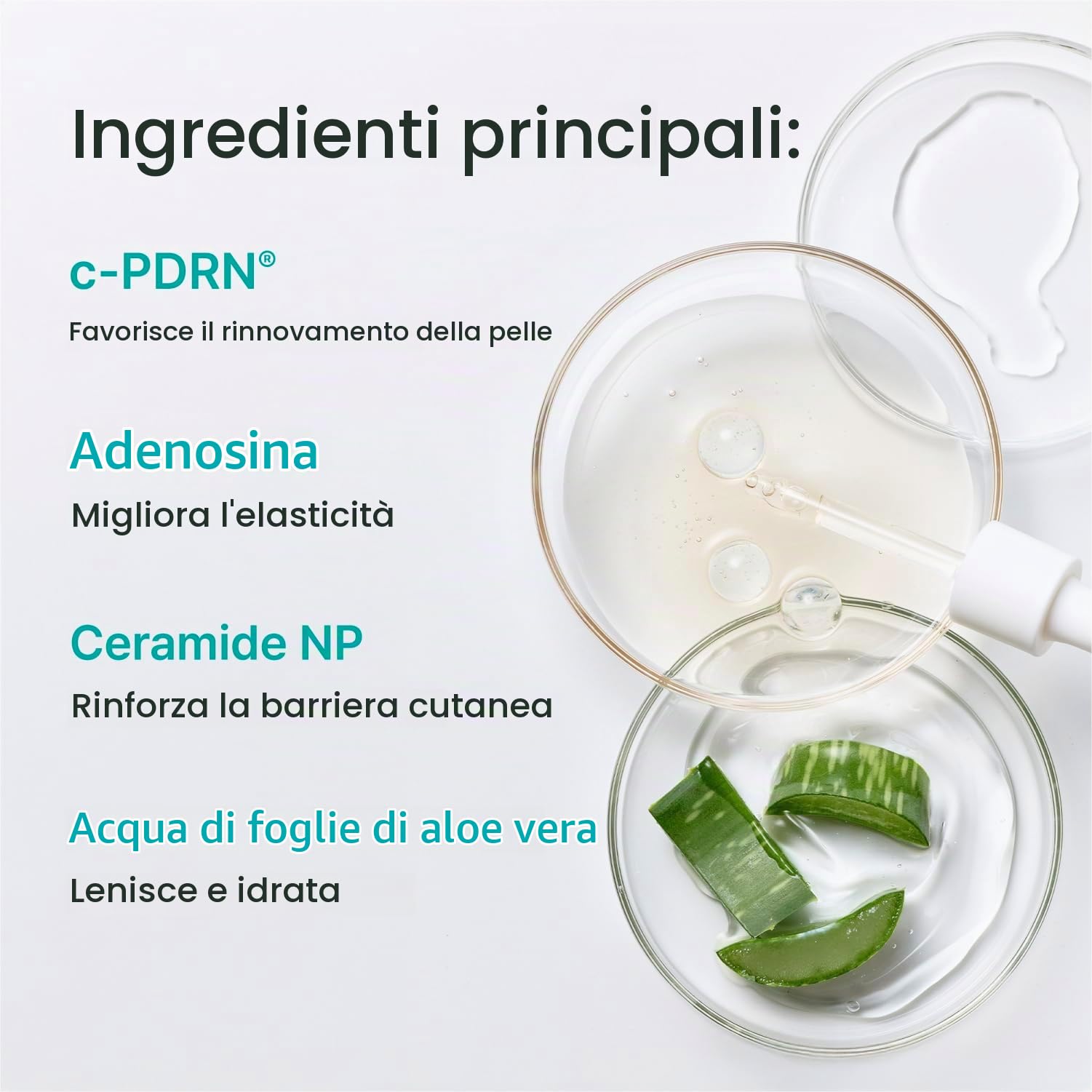REJURAN Maschera Turnover, Pdrn Original Salmon Dna Per Rassodare, Idratare, Riparare E Rivitalizzare. Ottieni Una Pelle Giovane, Confezione da 5 (confezione da 1)