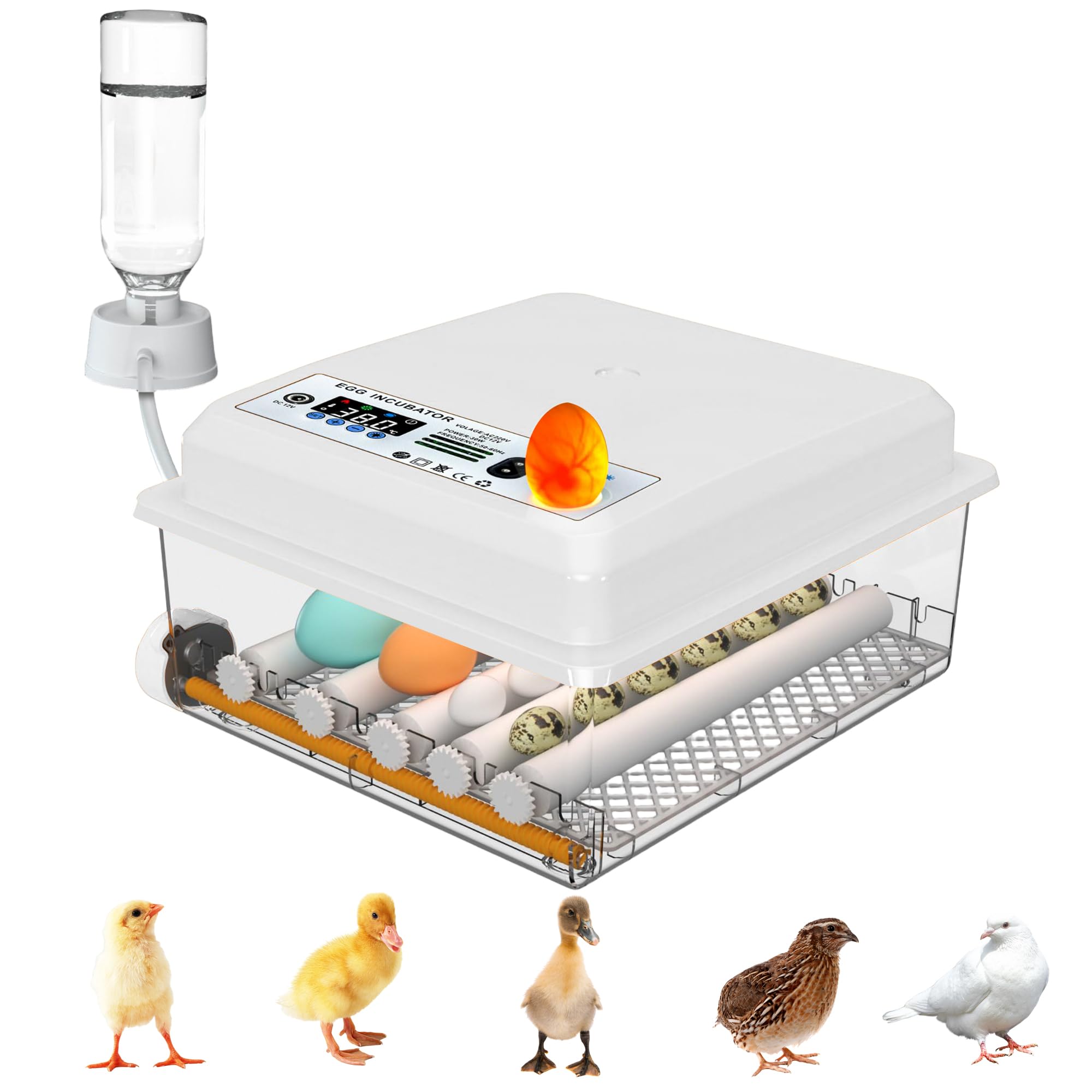 Couveuse Oeufs Automatique 16 Oeufs - Incubateur Avec Retournement Et Remplissage Auto