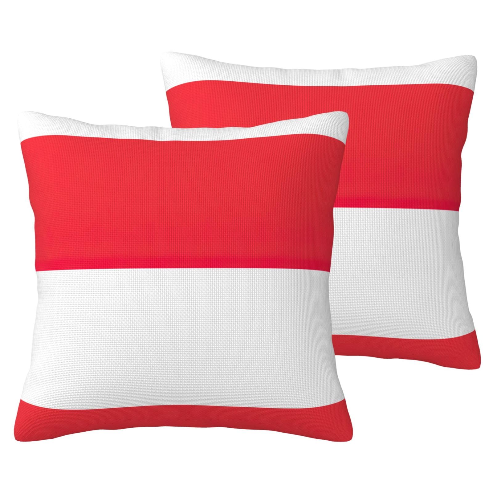 Housse de coussin Indonésie lot de 2 pour protéger et décorer le canapé