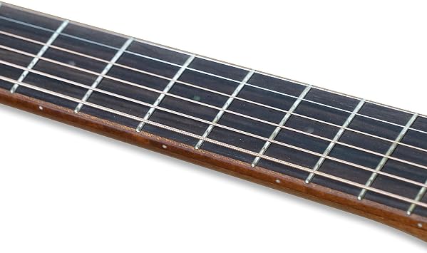 41 Electric Acoustic Guitar Top Solid Walnut Back&Side Walnut Mahogany Ncek D-102HC