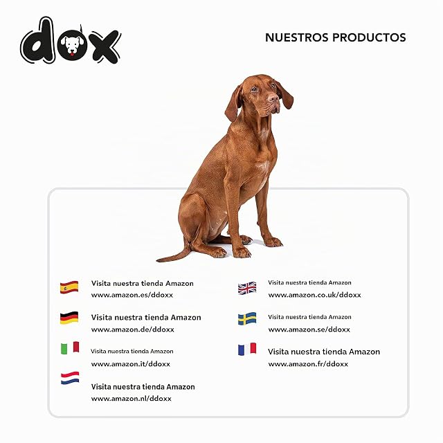 Foto 8 de 8 de DDOXX Correa Perro Enrollable Reflectante Tamaños de Correas para Perros