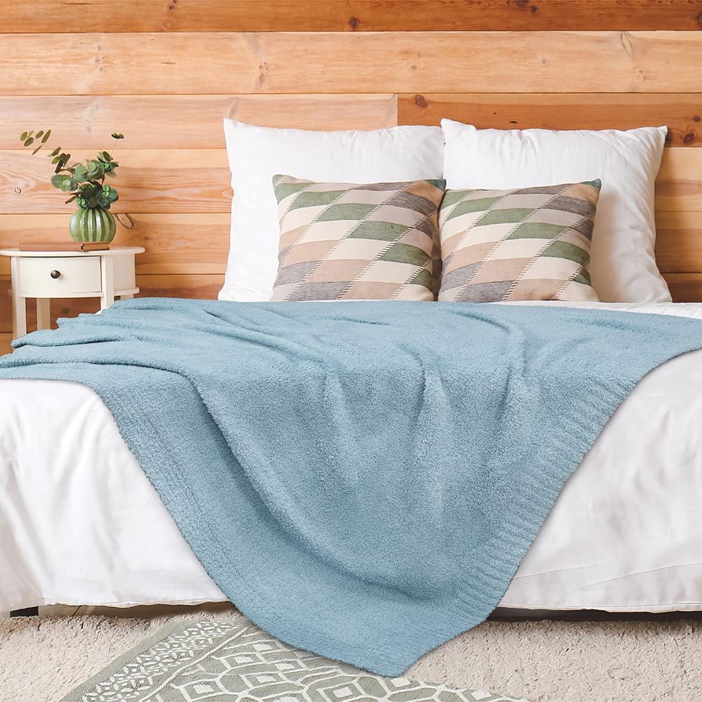 PAVILIA Plush Knit Throw Blanket for Couch, Super Soft Fluffy Throw, Fuzzy Lightweight Blanket for Bed Sofa, Knitted Warm Cozy All Season Throw Blanket (Light Blue Slate, 50x60 inches)