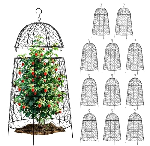 best garden cloche in Milwaukee, WI