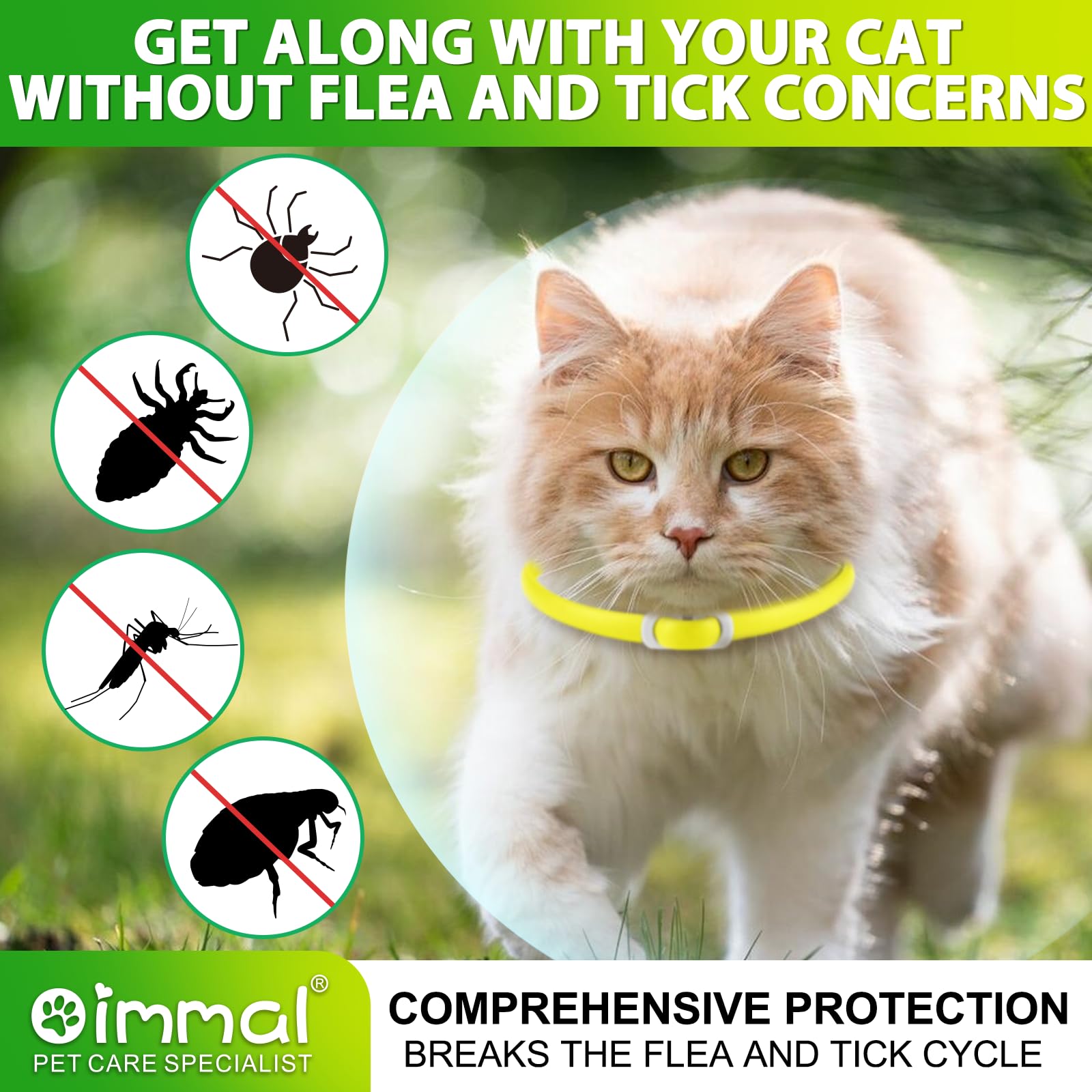 Collare Di Zecca Per Gatti, Collare Di 4Pack Per Gatti Con, Sicuro Ed Efficace Per Il Controllo Delle Pulci E Zecche, Design Impermeabile E Rimovibile, Protezione Di 24 Mesi Per Tutti I Gatti