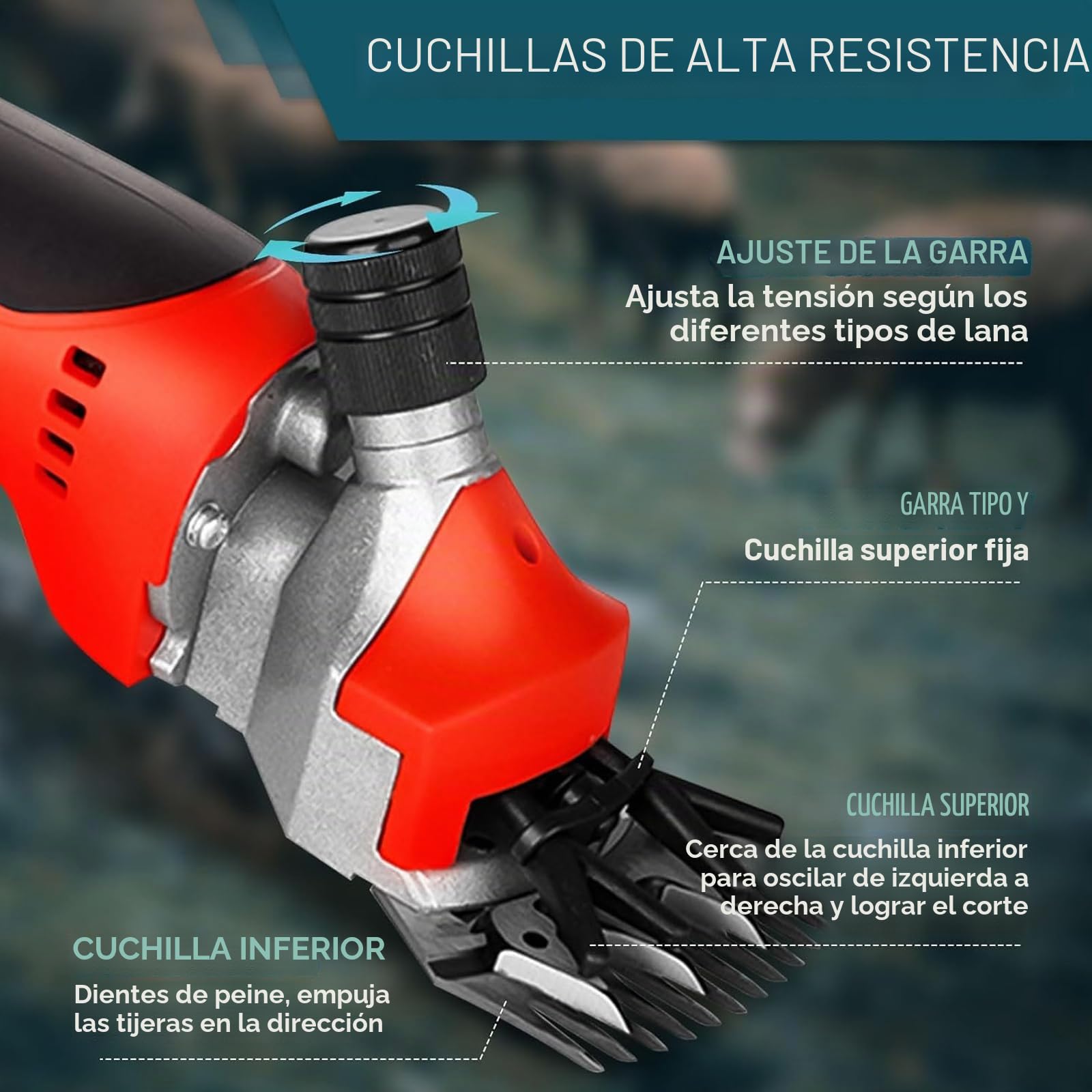 Esquiladora Inalámbrica Eléctrica 550W – Cortadora Profesional de Lana 21V con 2×1300mAh Baterías, Ajustable en 6 Velocidades, Cuchillas de Acero 9/13 Dientes para Ovejas, Cabras y Ganado 13-teeth