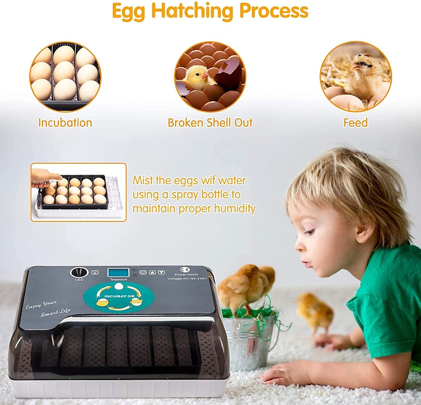 Incubadora digital de huevos completamente automática, 12 incubadoras de huevos, capacidad para incubar patos de gallina, aves de corral, paloma, codorniz, control de temperatura de humedad y