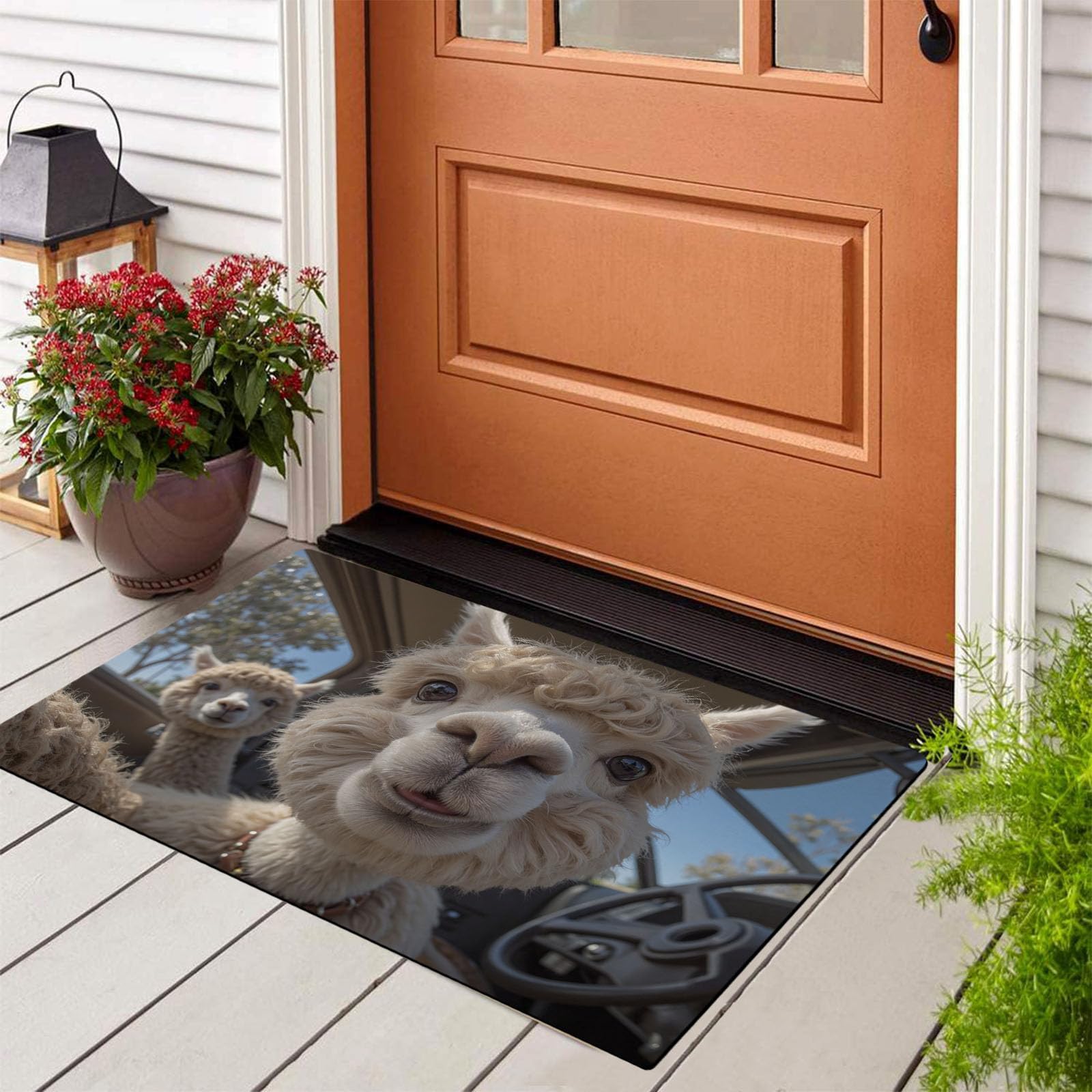 Tapis d'entrée d'intérieur doux paillasson fin absorbant et lavable 60x90