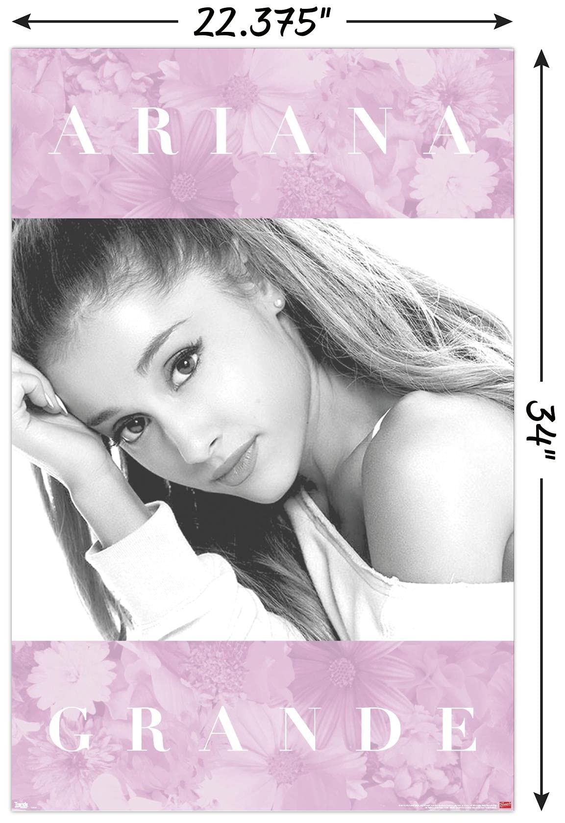 【Ariana Grande】CD,雑誌,ポスター付 56点 まとめ売り Amazon.com: Trends International Ariana Grande - Floral Wall