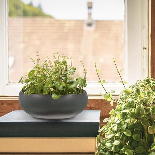 Miniatura 8 de Happyyami Decoración de mesa de comedor, maceta de agua hidropónica, maceta de cerámica para suculentas, bonsái, lirio de agua, narciso, recipiente