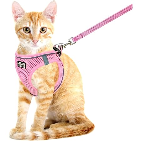 gauterf cat harness