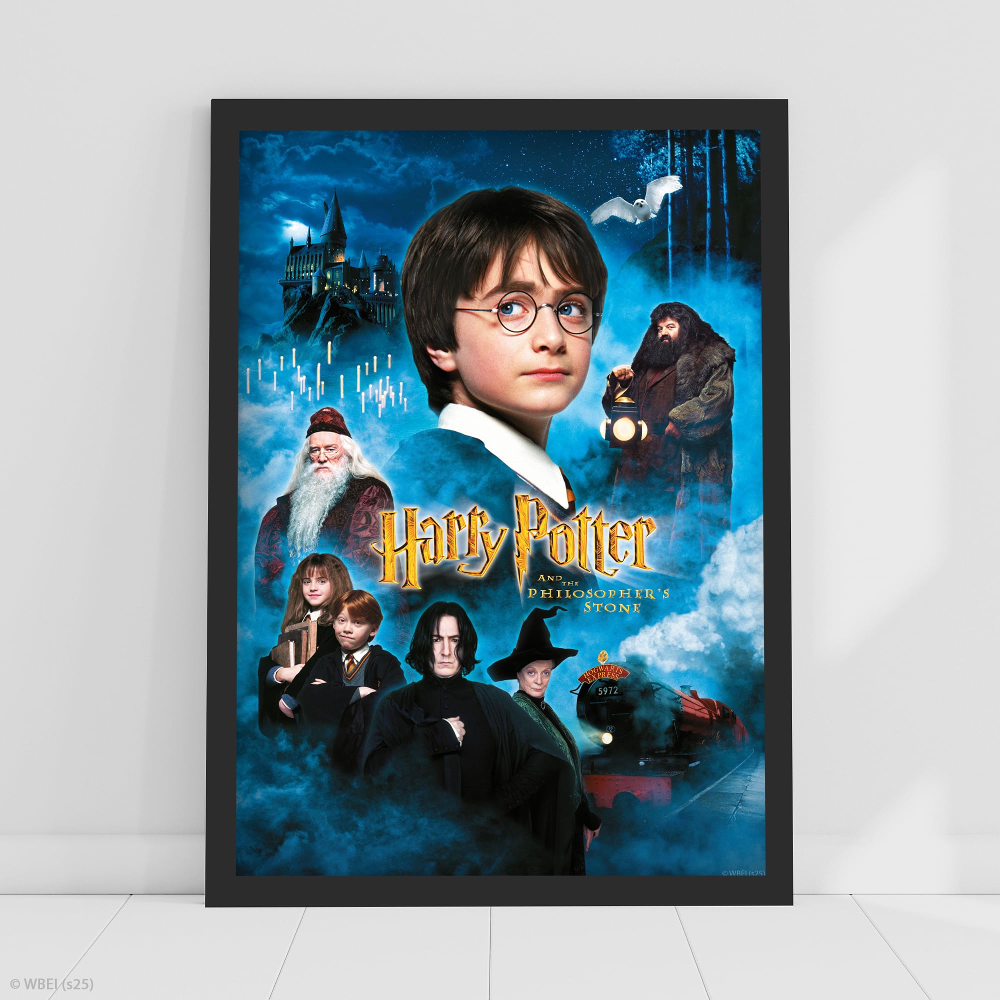 Themed Harry Potter Print - Harry Potter and The Philosopher's Stone Movie Poster (21cm x 29.7cm - A4)
