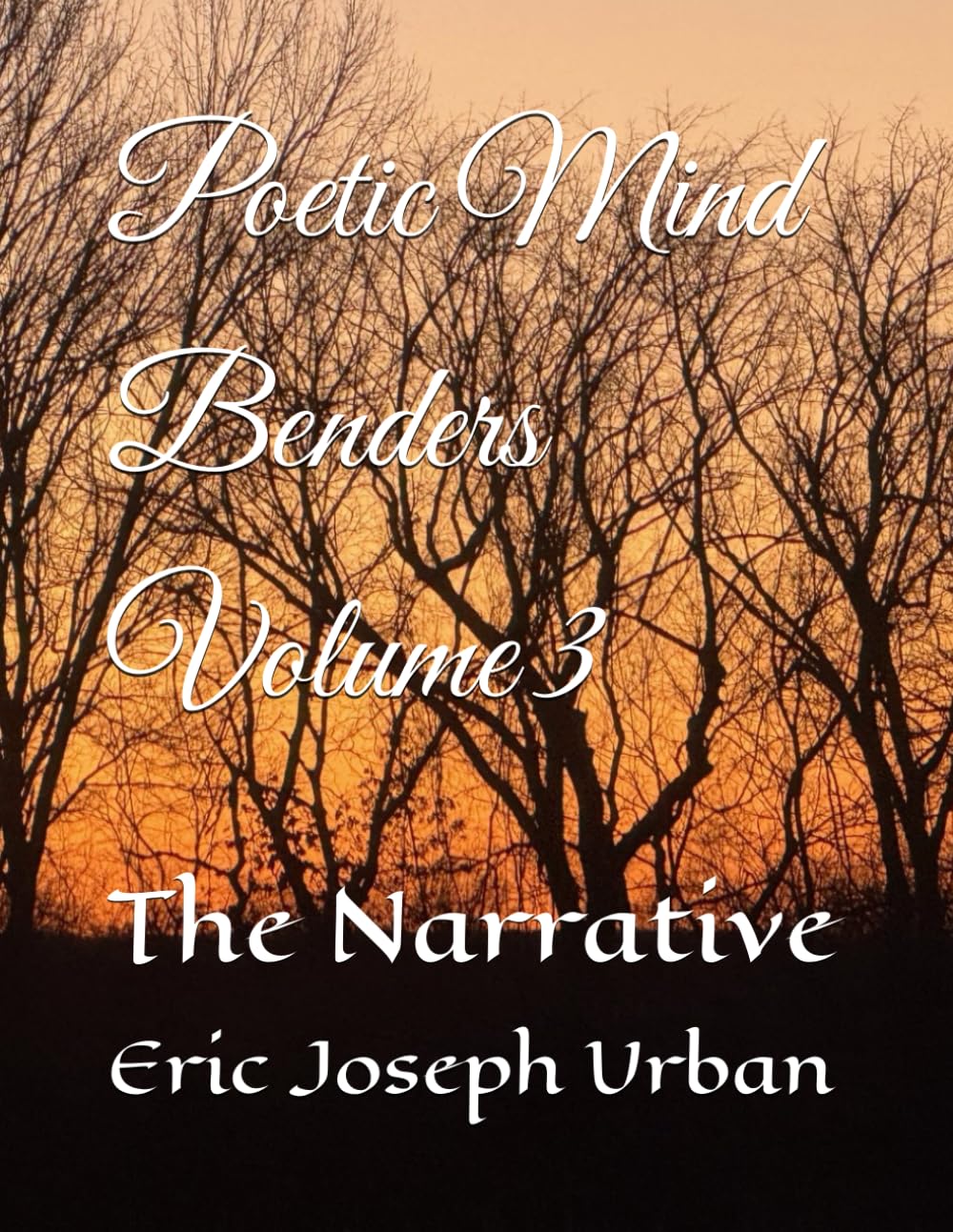 Poetic Mind Benders Volume III: The Narrative