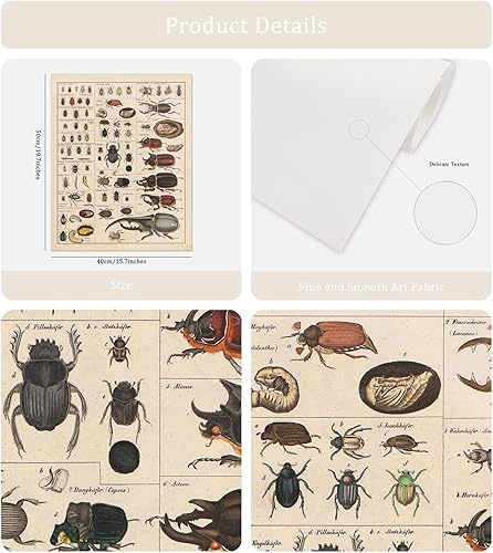 Miniatura 2 de Meishe Art Póster Vintage Impresión Colección de Insectos Identificación de Especies Tabla de Referencia Diagrama de Entomología Aula Club