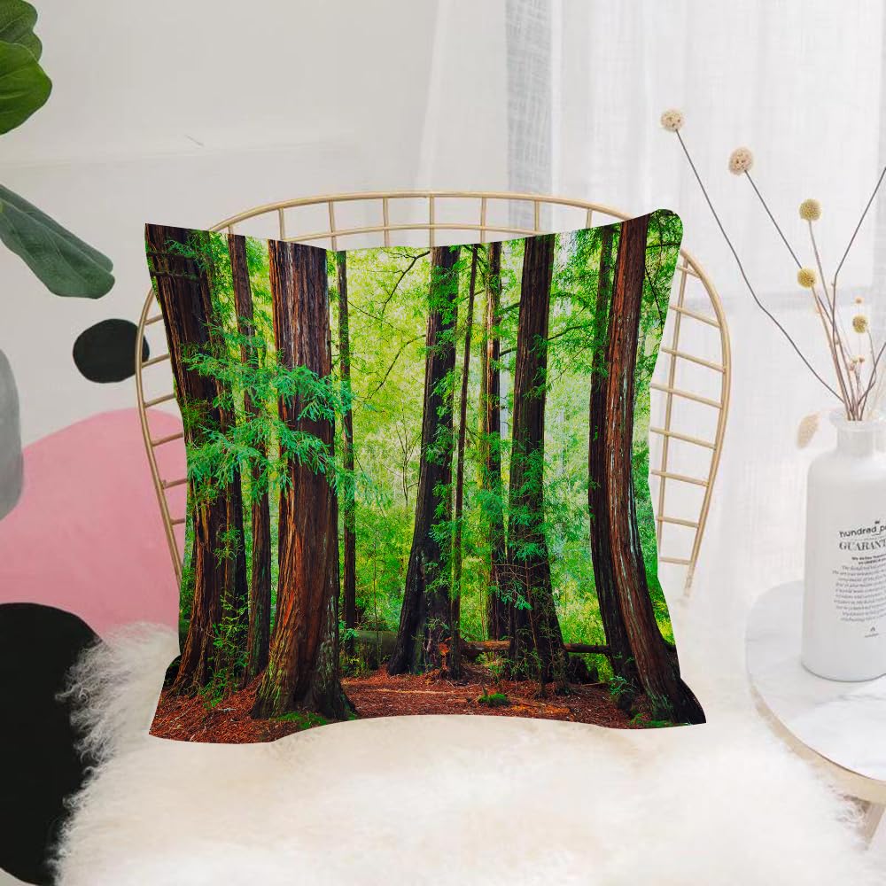 HYOSXW Cushion Cover,Throw Pillow Case Home Decorative for Living Room Bedroom Sofa Chair 16X16 Inch,Forest of trees, sequoias, northwestern rainforest,Pillowcase 40X40cm