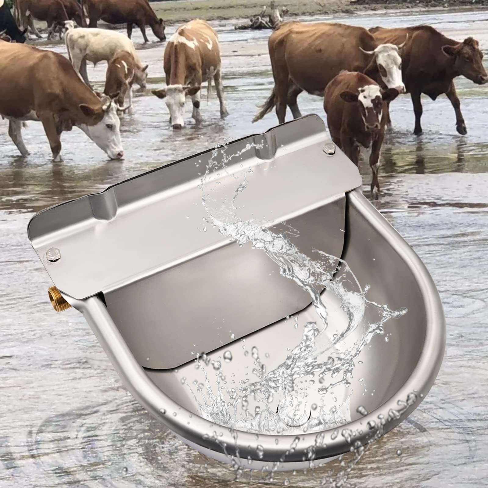 Bebedero para Caballos de Acero Inoxidable con VáLvula de Flotador de LatóN Ajustable de 1/2 "Y Orificios de Drenaje para Caballos, Vacas, Cerdos, Cabras, Ovejas, Bebederos para Perros