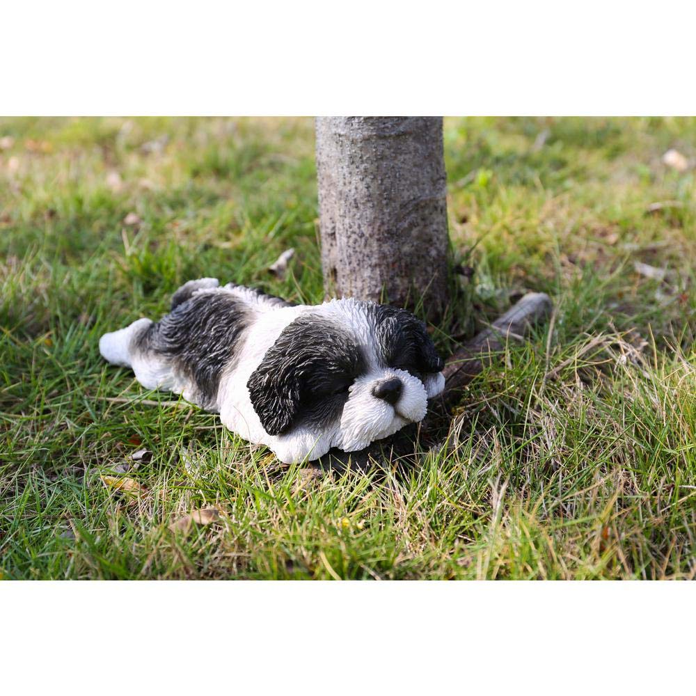 Amazon.com : Hi- Line Gift 87710-J Shih Tzu Puppy Sleeping Pet