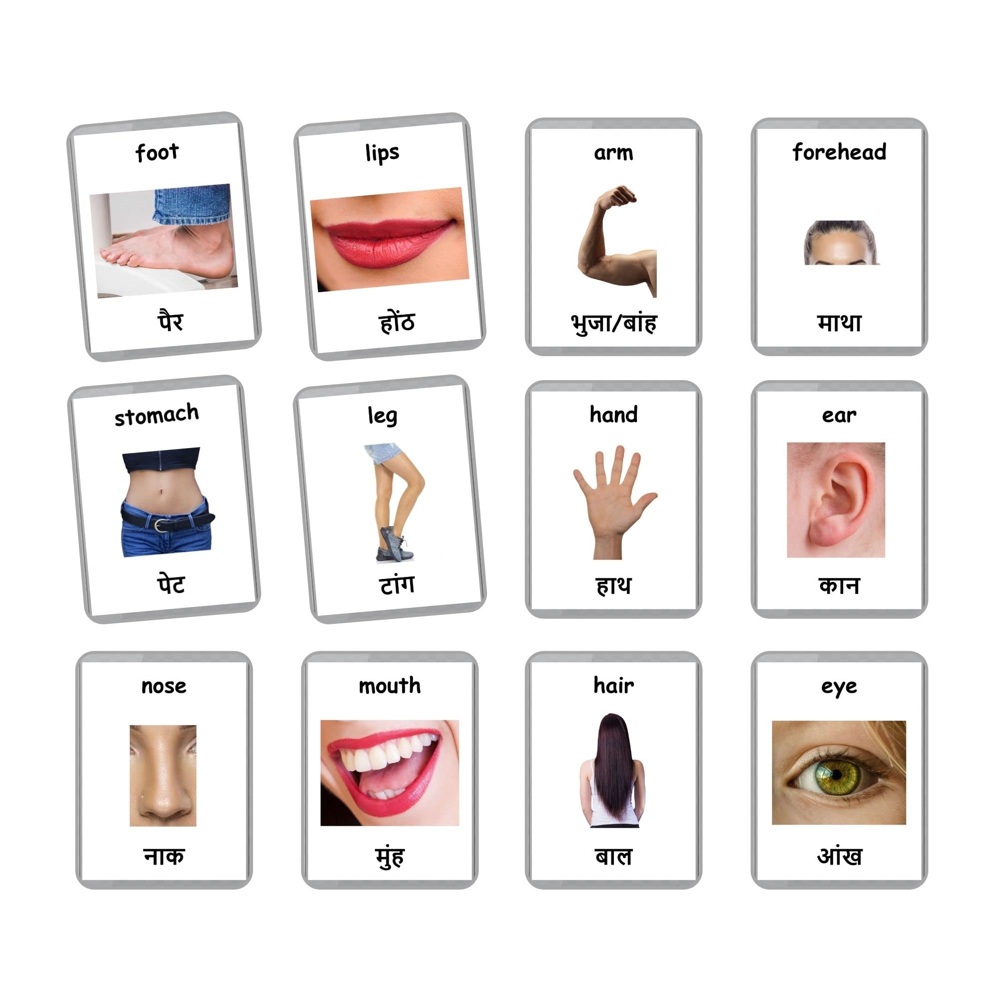 See full amazon price history chart for Hindi English Bilingual Flash Cards | Montessori Cards | Laminated Flash Cards | Early Education (Body Parts - 24 Cards) Hindi English Bilingual Flash Cards | Montessori Cards | Laminated Flash Cards | Early Education (Body Parts - 24 Cards) (B09Y2S2K1H) Amazon Price History, Amazon Price Tracker