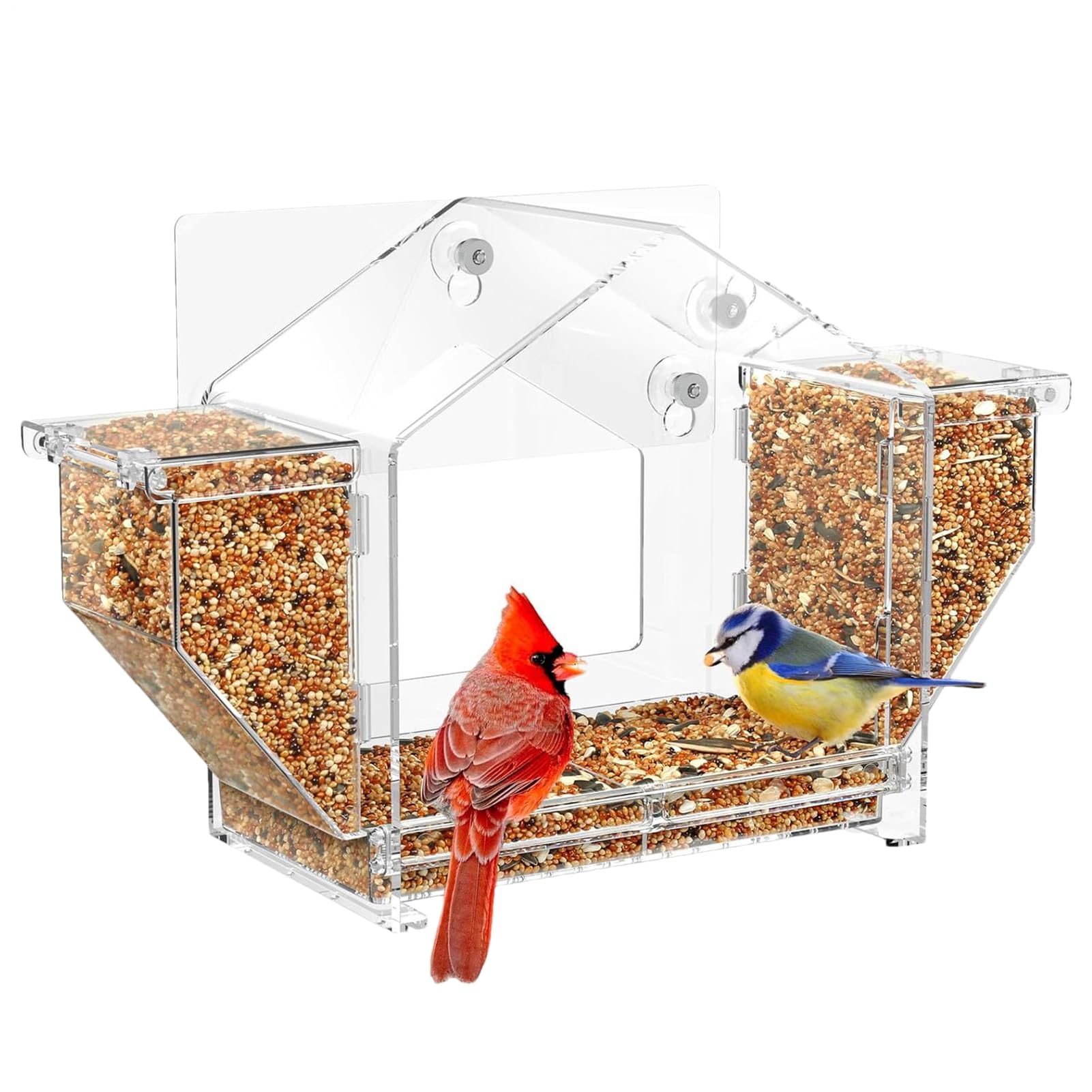 Mangeoire à oiseaux pour fenêtre boîte nourrissage transparente balcon