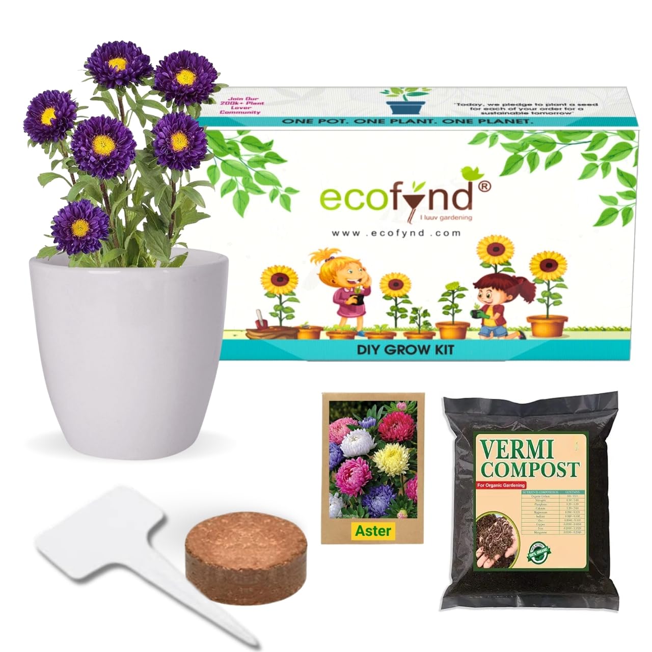 ecofyndDIY Grow Kit fo Aster Mix || DIY Easy Grow it Yourself Gardening Flower Kit for Home and Garden || A Complete Beginner Gardeners Gardening Set || Best Return Gift For Kids Birthday Party