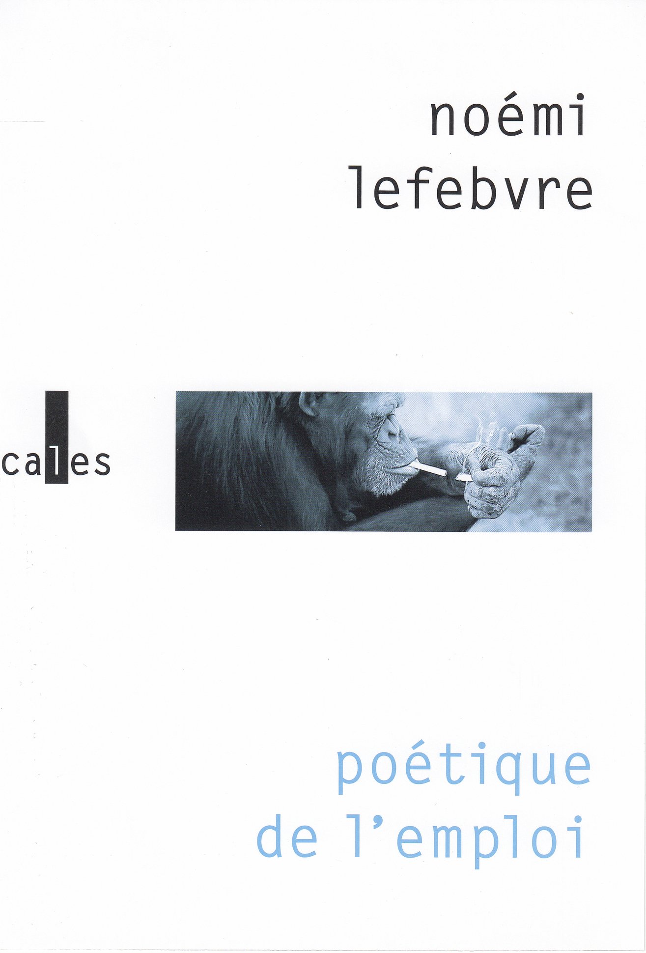Poetique de l'emploi
