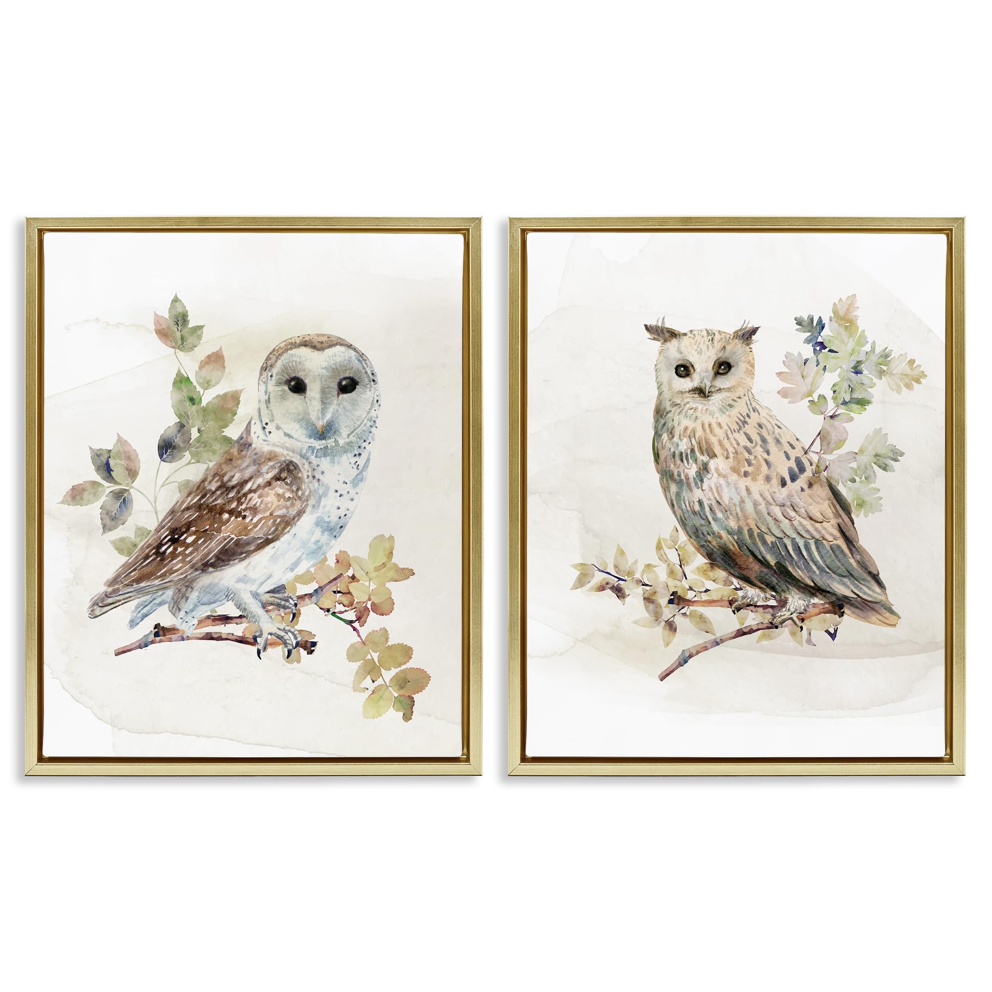 Stupell Industries 'Owls Perched in Foliage', 2pc Floating Frame Art Set 2, Gold, 25 x 31 Inches, Easy to Hang and Sturdy, Made in USA, by CAD Designs