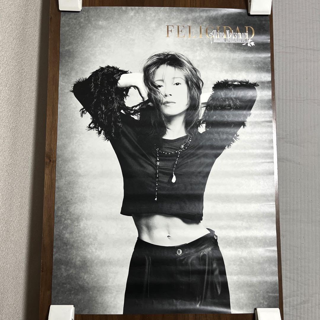 Amazon.co.jp: 中森明菜 felicidad B2 ポスター : おもちゃ