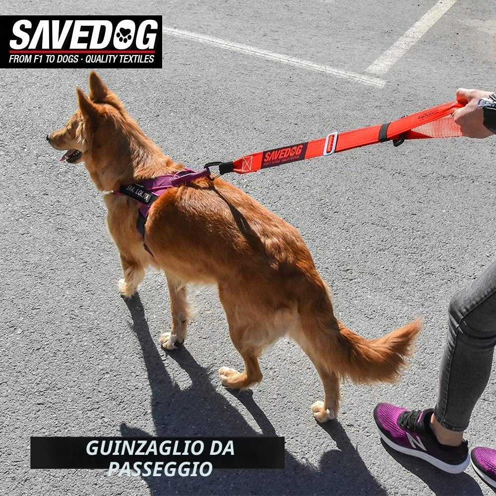 SAVEDOG Guinzaglio di sicurezza per cani e auto. La chingia più sicura sul mercato, resiste 1.000 kg Conforme alla norma ISO 27955: 2010 Rif.027172050102