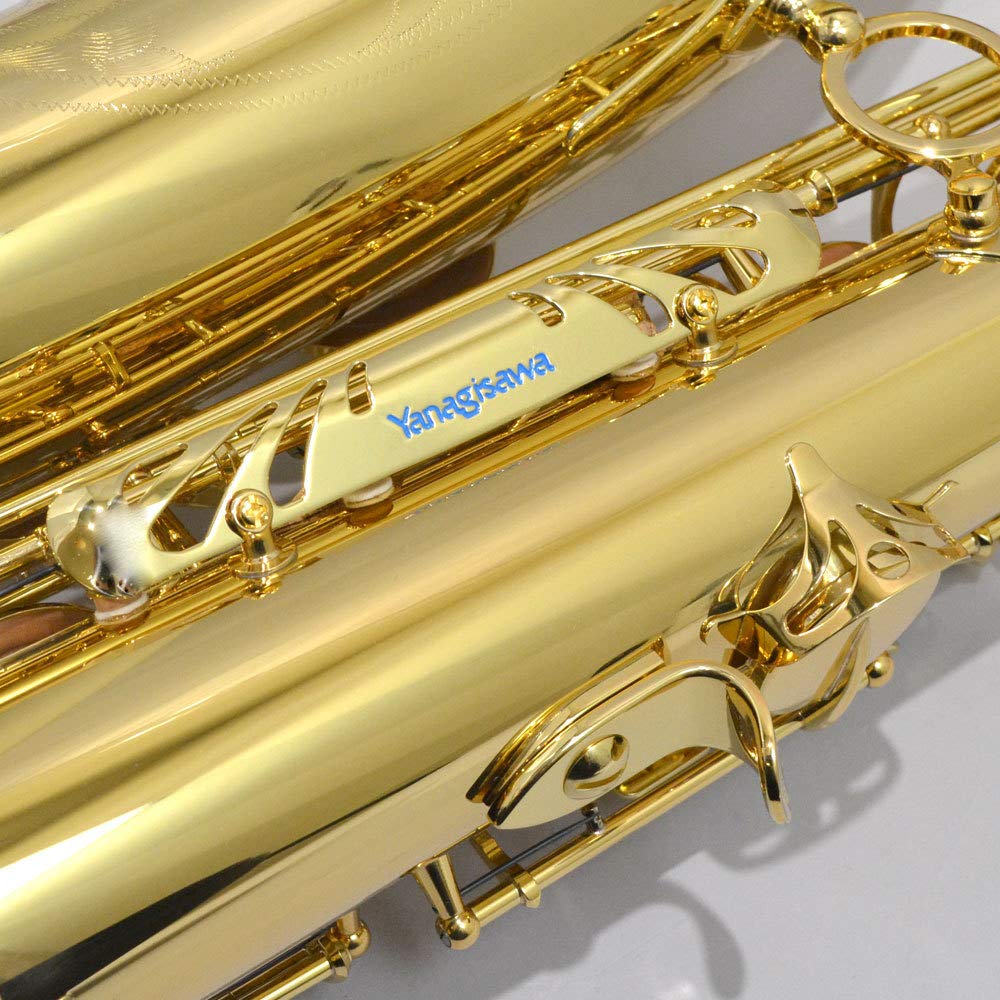 yanagisawa two10 ヘビー仕様テナーサックス YANAGISAWA T-WO10 テナーサックス ブラス製 ヘヴィー仕様TWO10 WO10