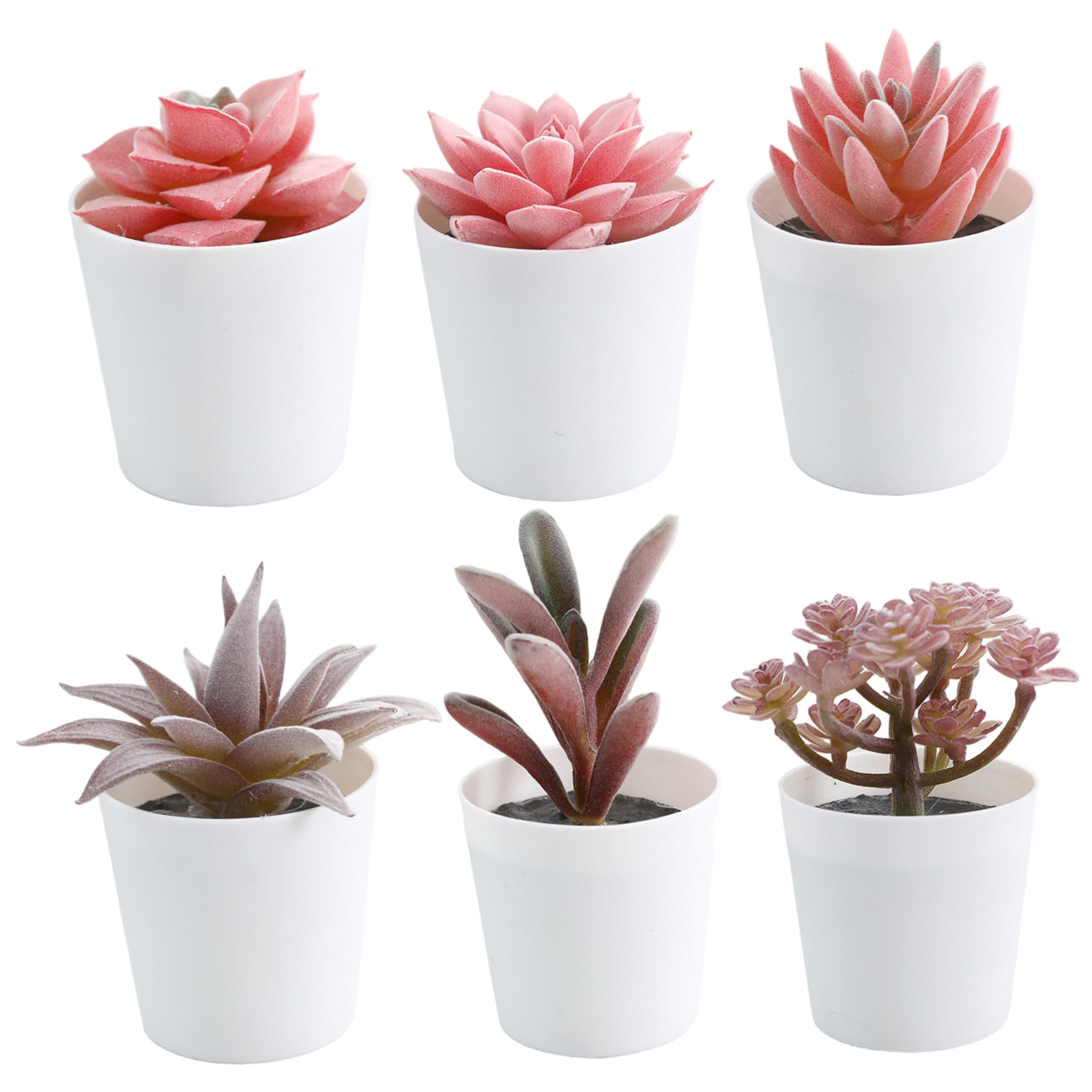 Fausses plantes succulentes pour égayer votre espace de travail