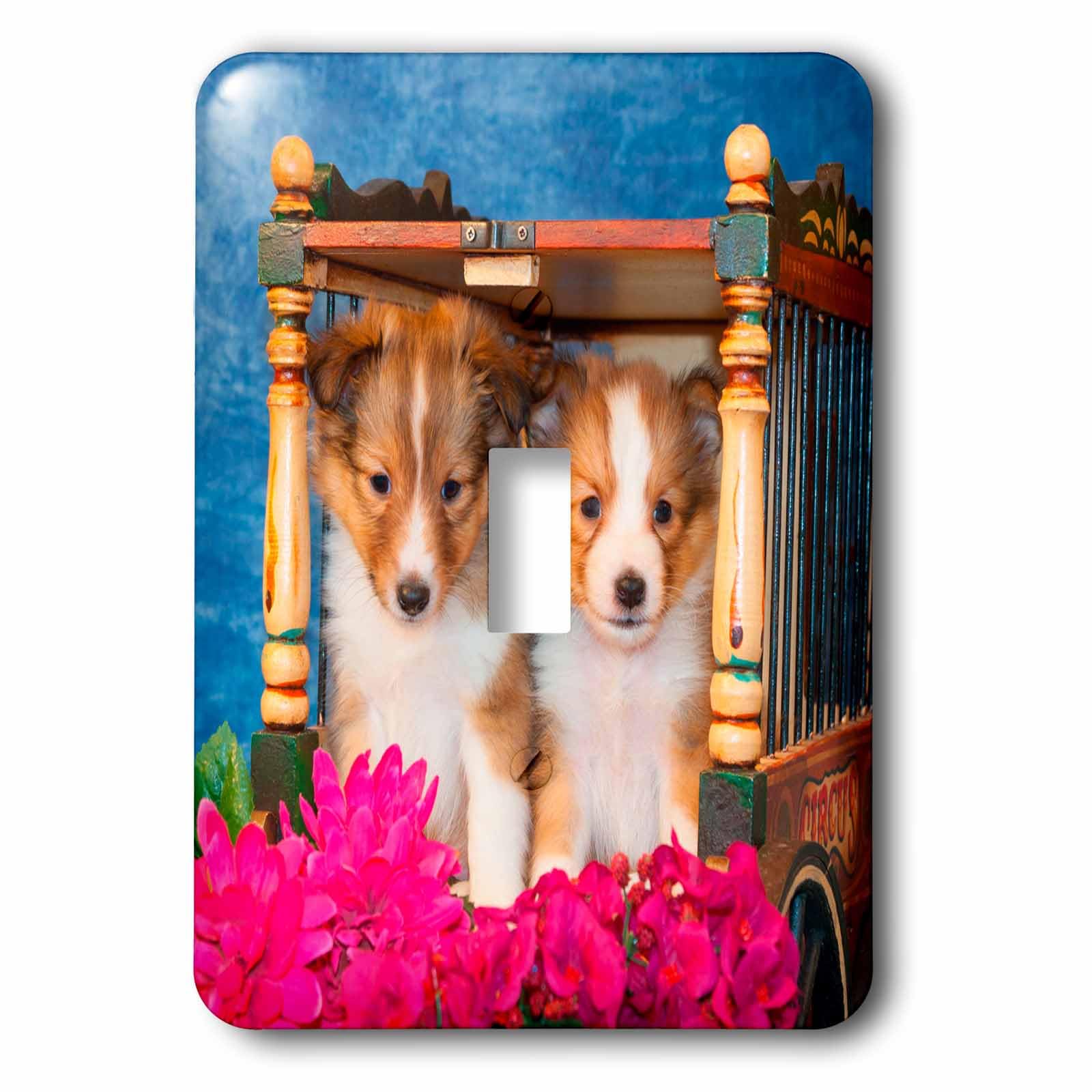 Interrupteur à bascule simple décoratif chiots Shetland 3drose LSP 207514 1