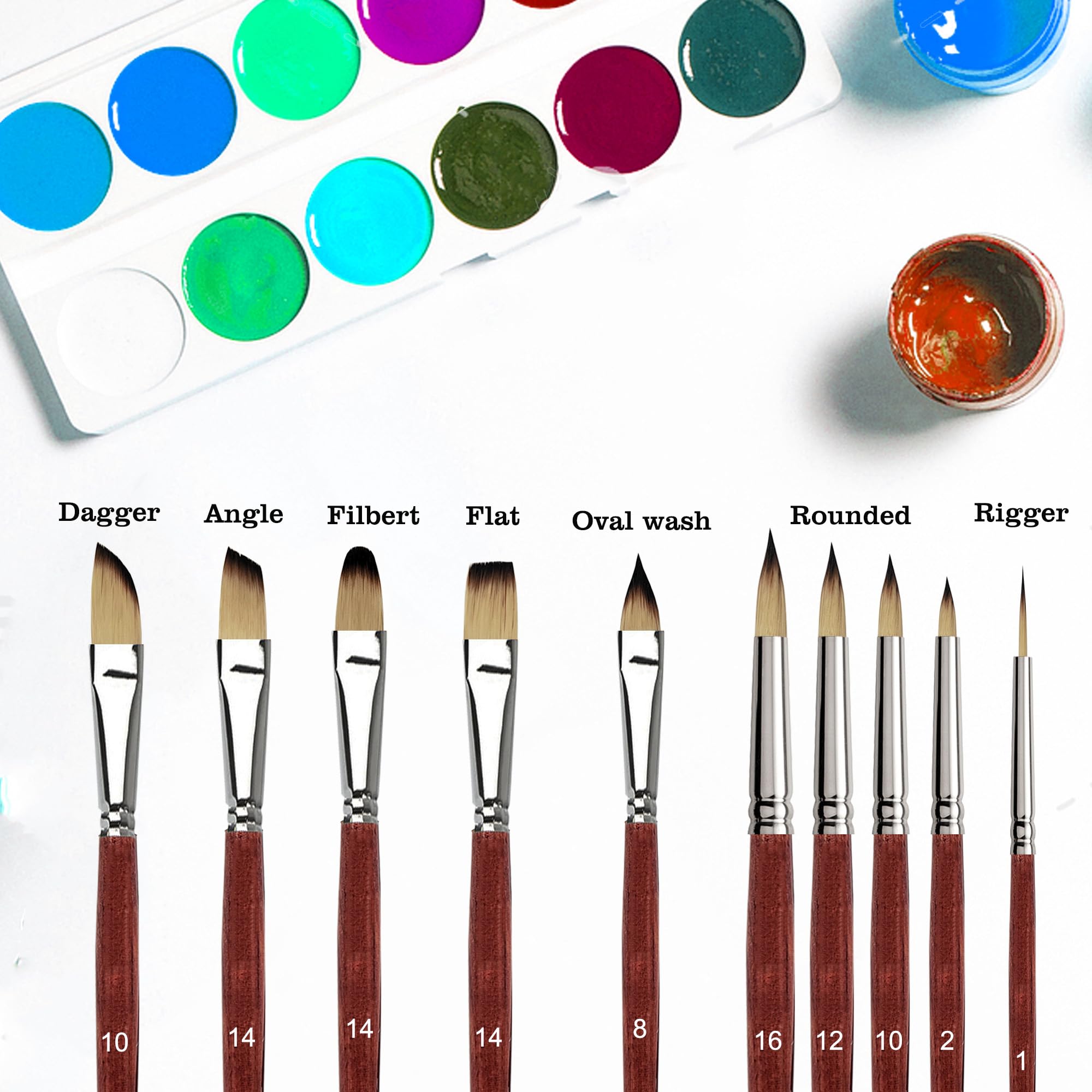 Sdanart Watercolor Brushes Professional,10 PCS Artist Paint Brush Shapes Including Pointed Rounds, Flats,Filbert,Cat's Tongue Oval Wash,Dagger,Suitable for Acrylics Water Color Oil Gouache Ink - Image 3