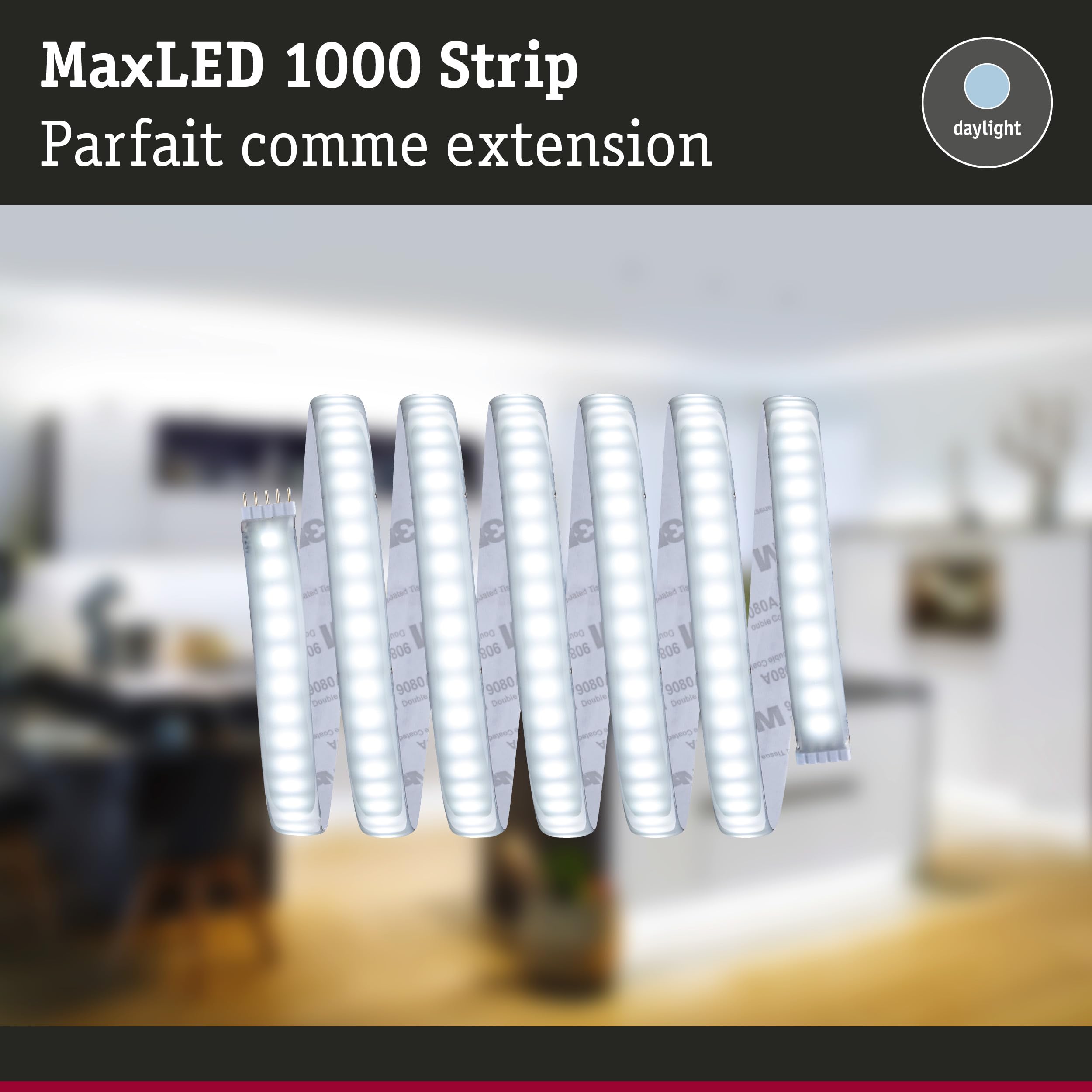 Paulmann 70553 Ruban LED MaxLED 1000 blanc lumière du jour 2,5 m 29 W 2 750 lm 6 500 K IP44 dimmable Ruban LED argent matière plastique