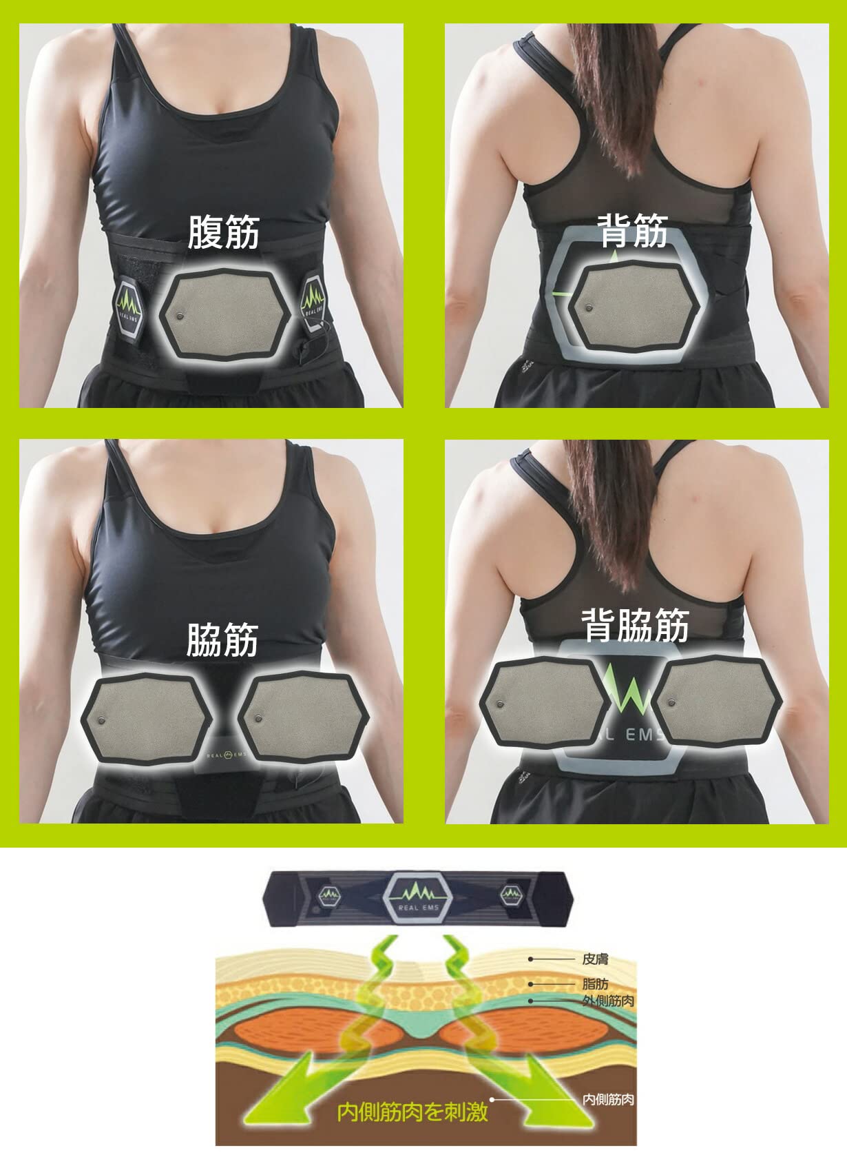 Amazon.co.jp: Real EMS Champion Ver. 2 Abdominal Training Girdle