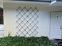 Review Image by Mark Kellum Mark Kellum