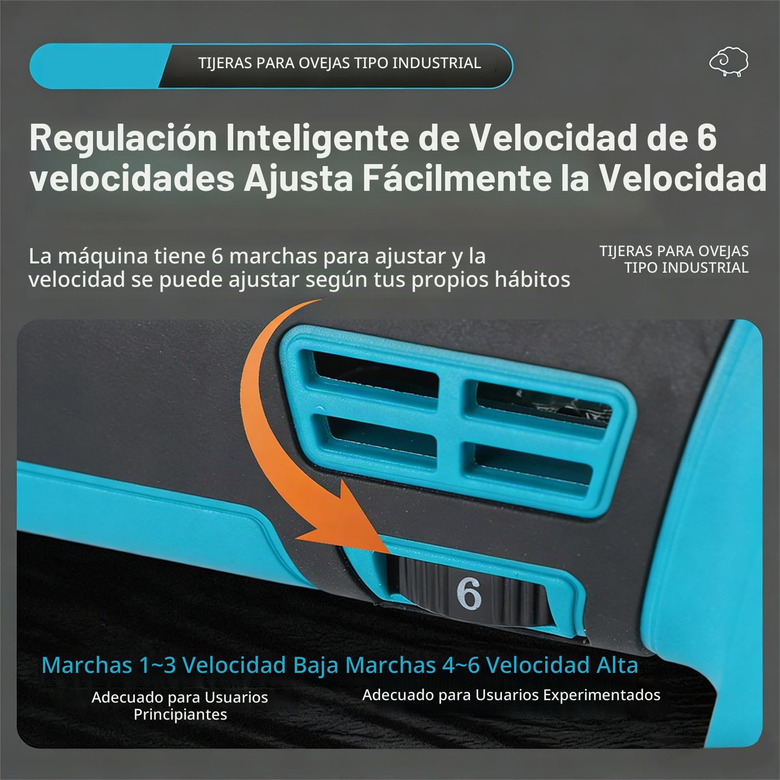 Esquiladora Inalámbrica Para Ovejas Máquina De Esquilar Eléctrica Con 2 Baterías De 6000mah 6 Velocidades Ajustables Cuchillas De 9/13 Dientes Cortadora De Lana Para Ovejas Cabras Alpacas Y 13 teeth