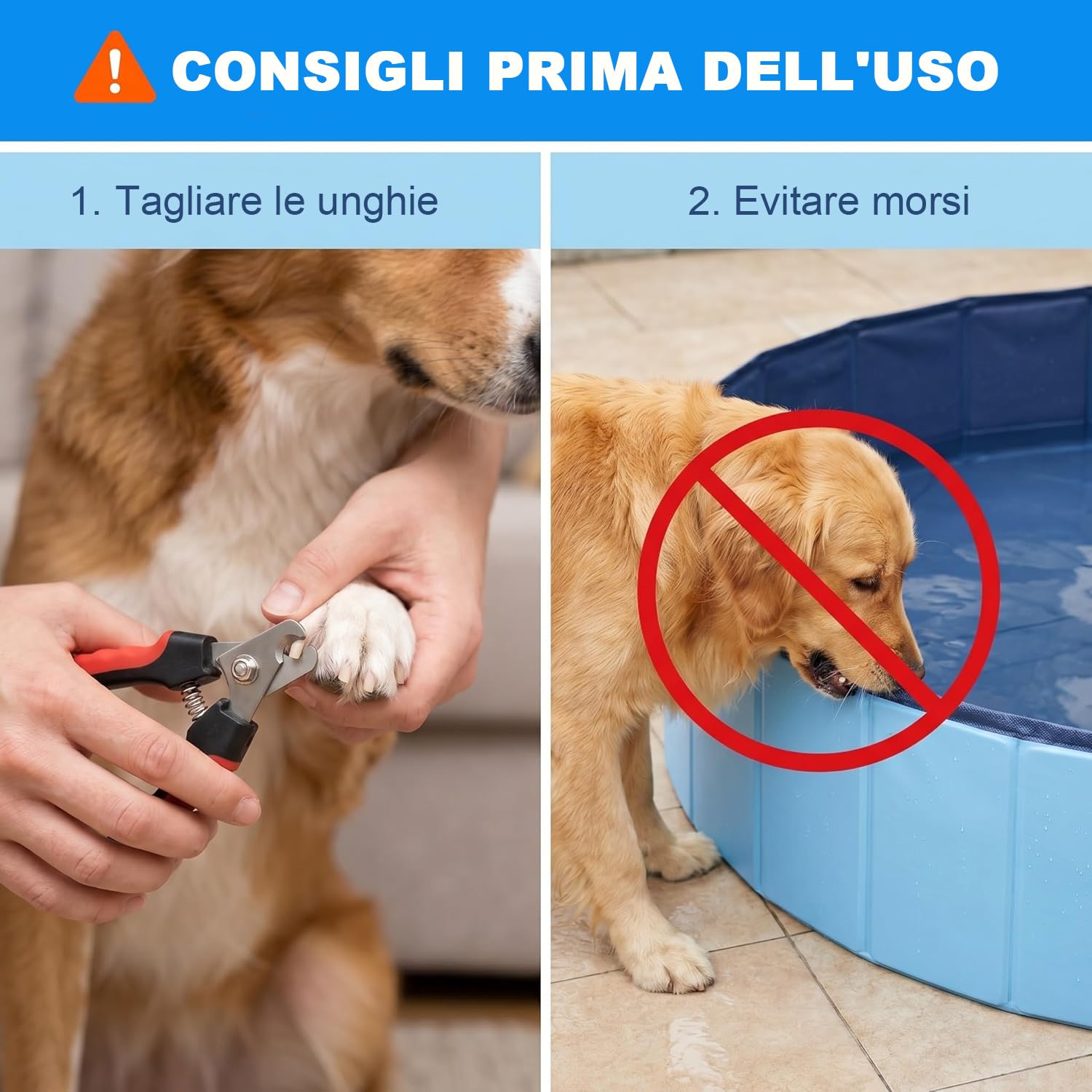 Vasca pieghevole per cani in PVC antigraffio, Ø 100 cm, Altezza 30 cm, rivestimento antiscivolo e tappo di scarico, svuotamento rapido senza pompa, vasca robusta